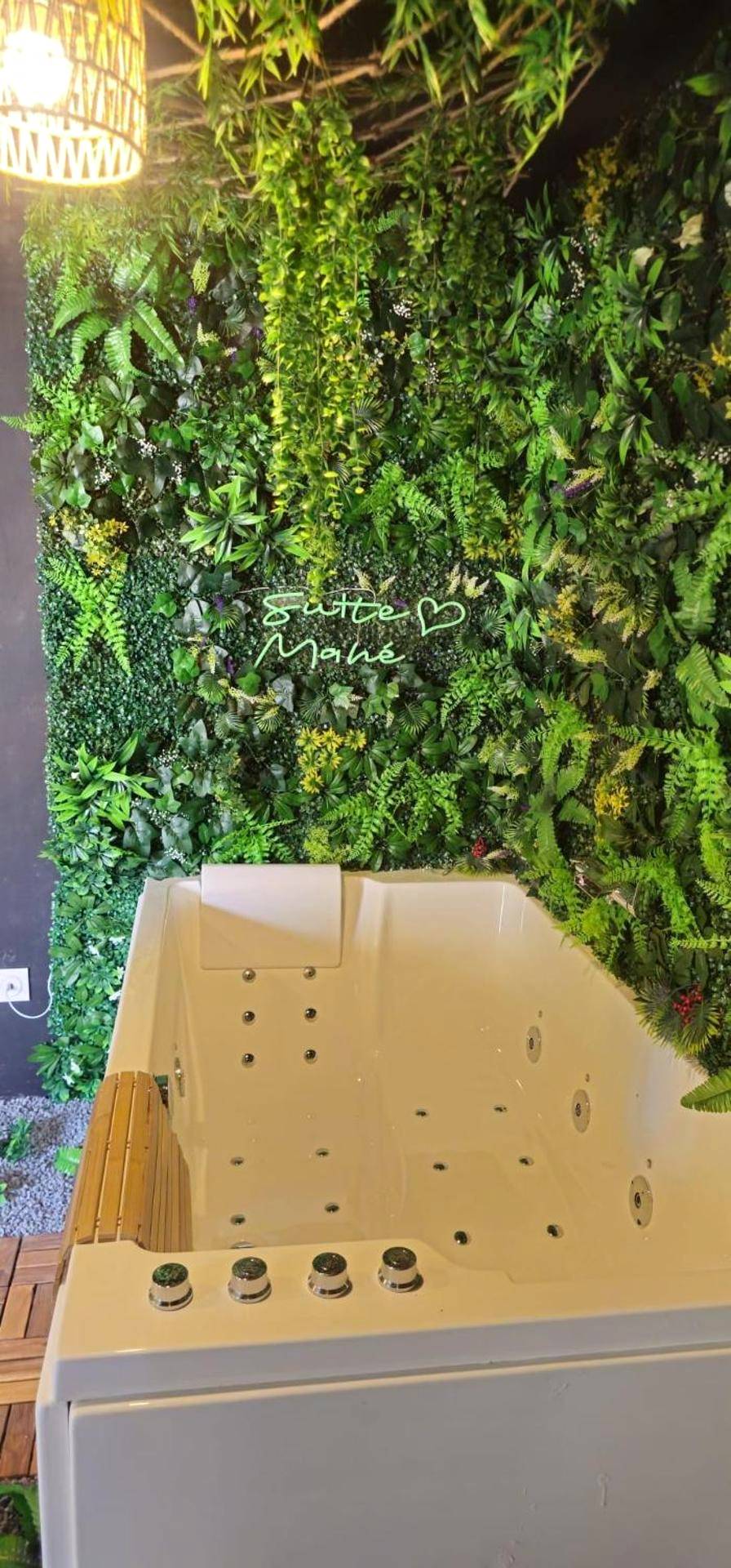 Photo du logement - Suite Mahé