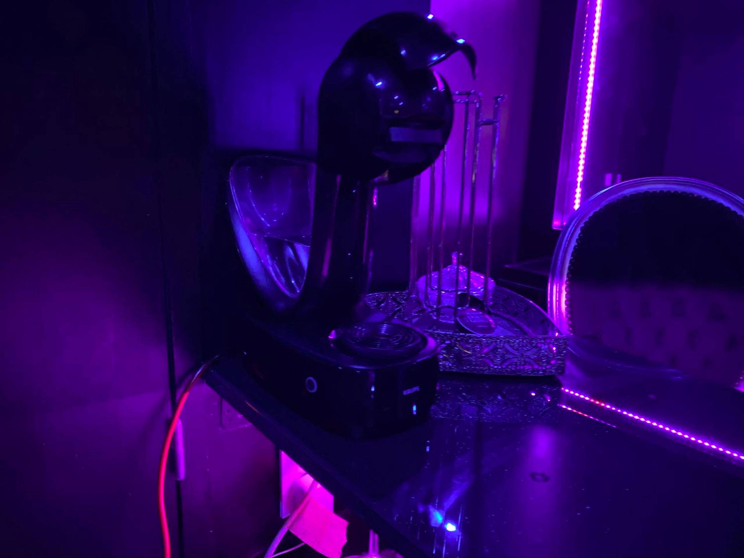 Photo du logement - La Suite Marylin, Loft de 90m2 avec Sauna et Jacuzzi