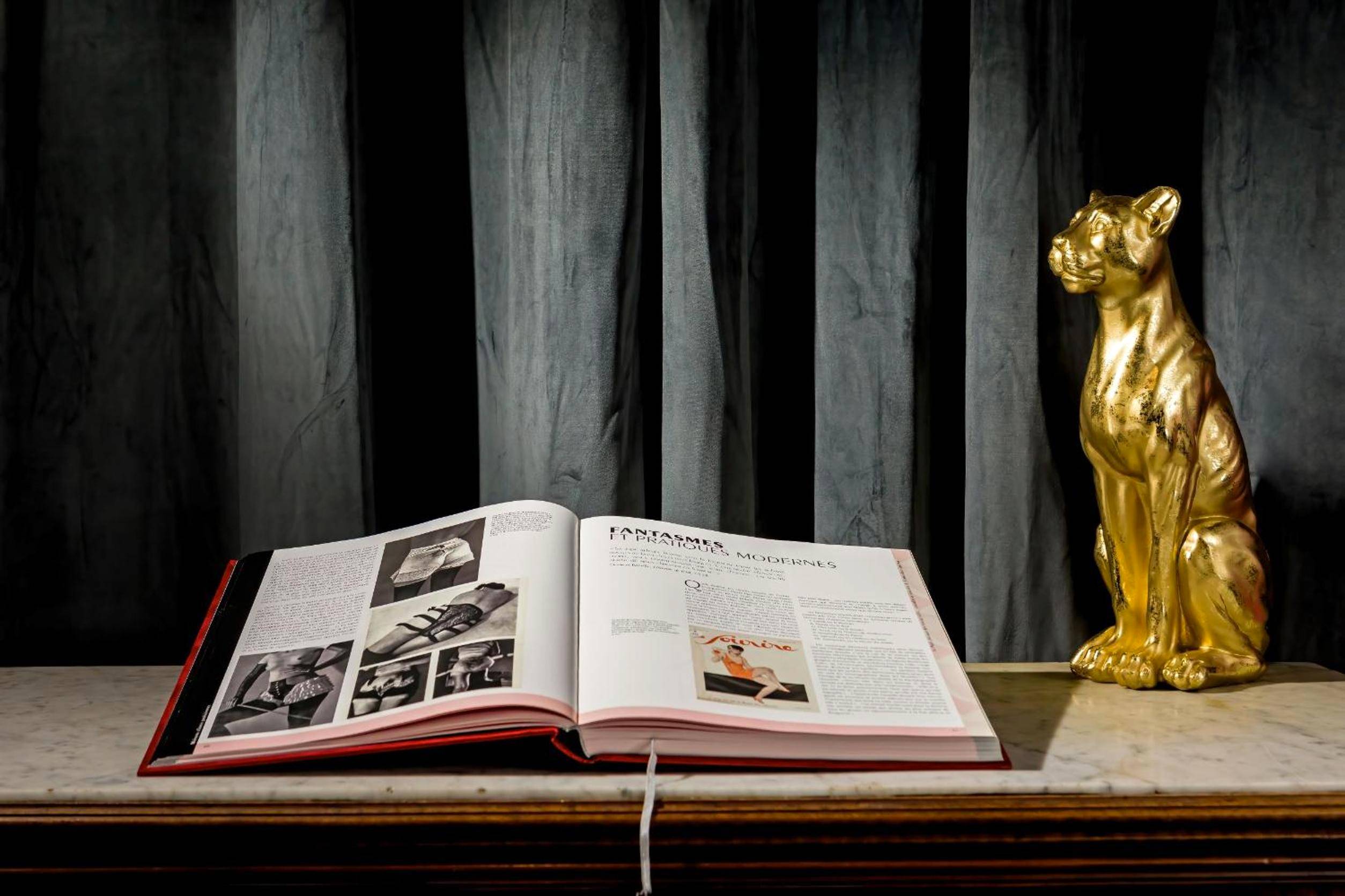 Photo du logement - SUITE PLAYROOM Love Hotel Toulouse