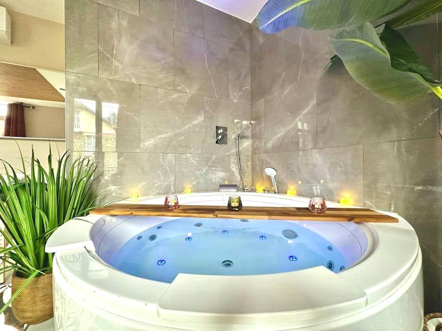 Photo du logement - Suite Love & Relax - Coulommiers