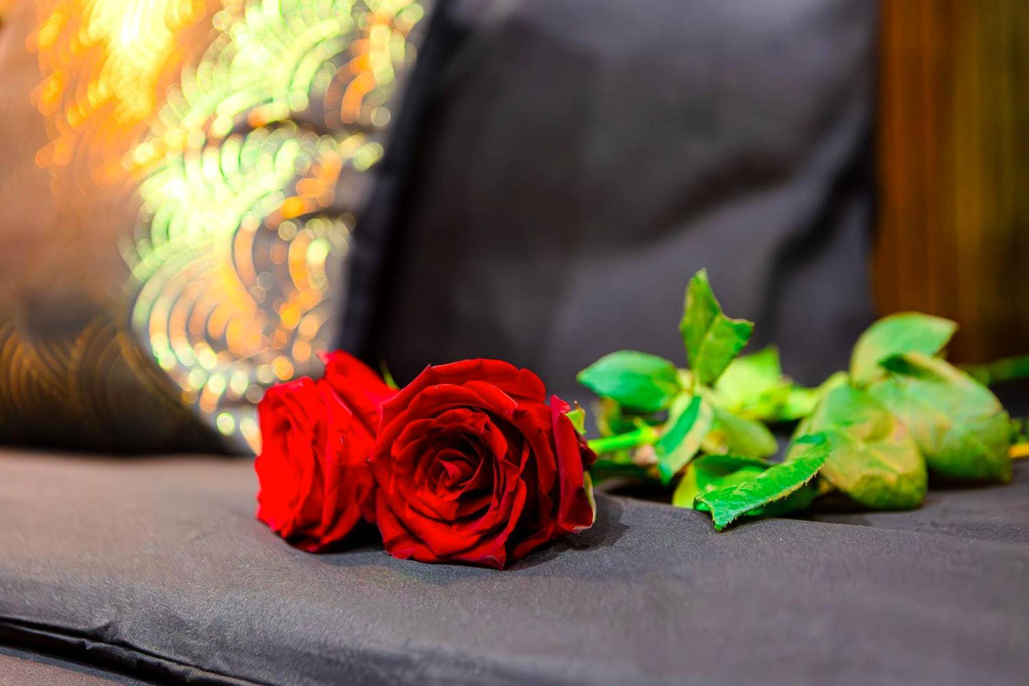 Photo du logement - La Suite des Rêves - Les Bonn'apparts - Sur - Seine