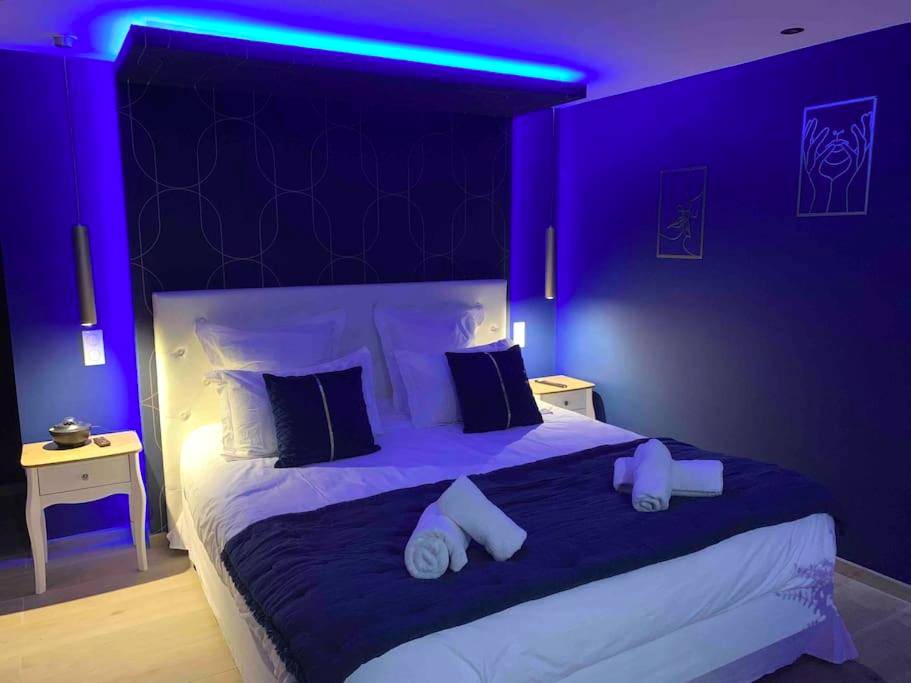 Photo du logement - La Suite Saphir – spa privatif - Nancy