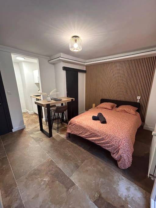 Photo du logement - La suite secrète et son spa abrité - Nancy