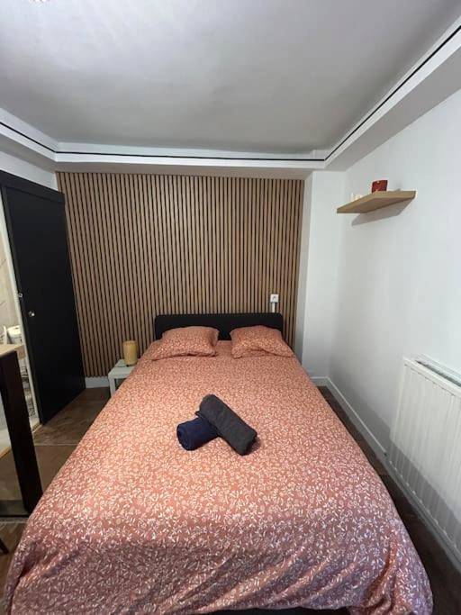 Photo du logement - La suite secrète et son spa abrité