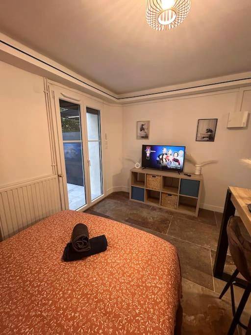 Photo du logement - La suite secrète et son spa abrité - Nancy