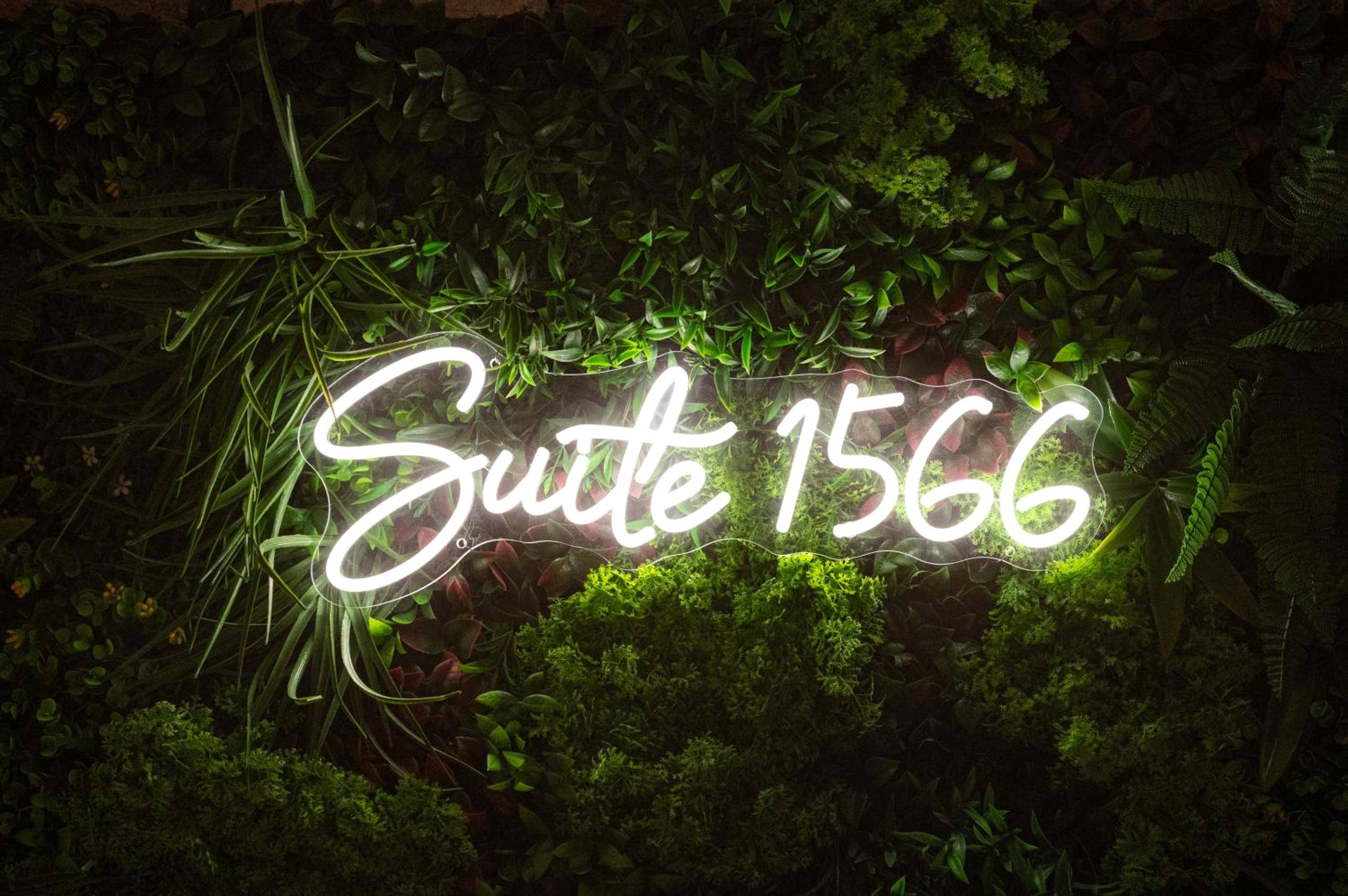 Photo du logement - Suite & SPA 1566 Benfeld - Benfeld