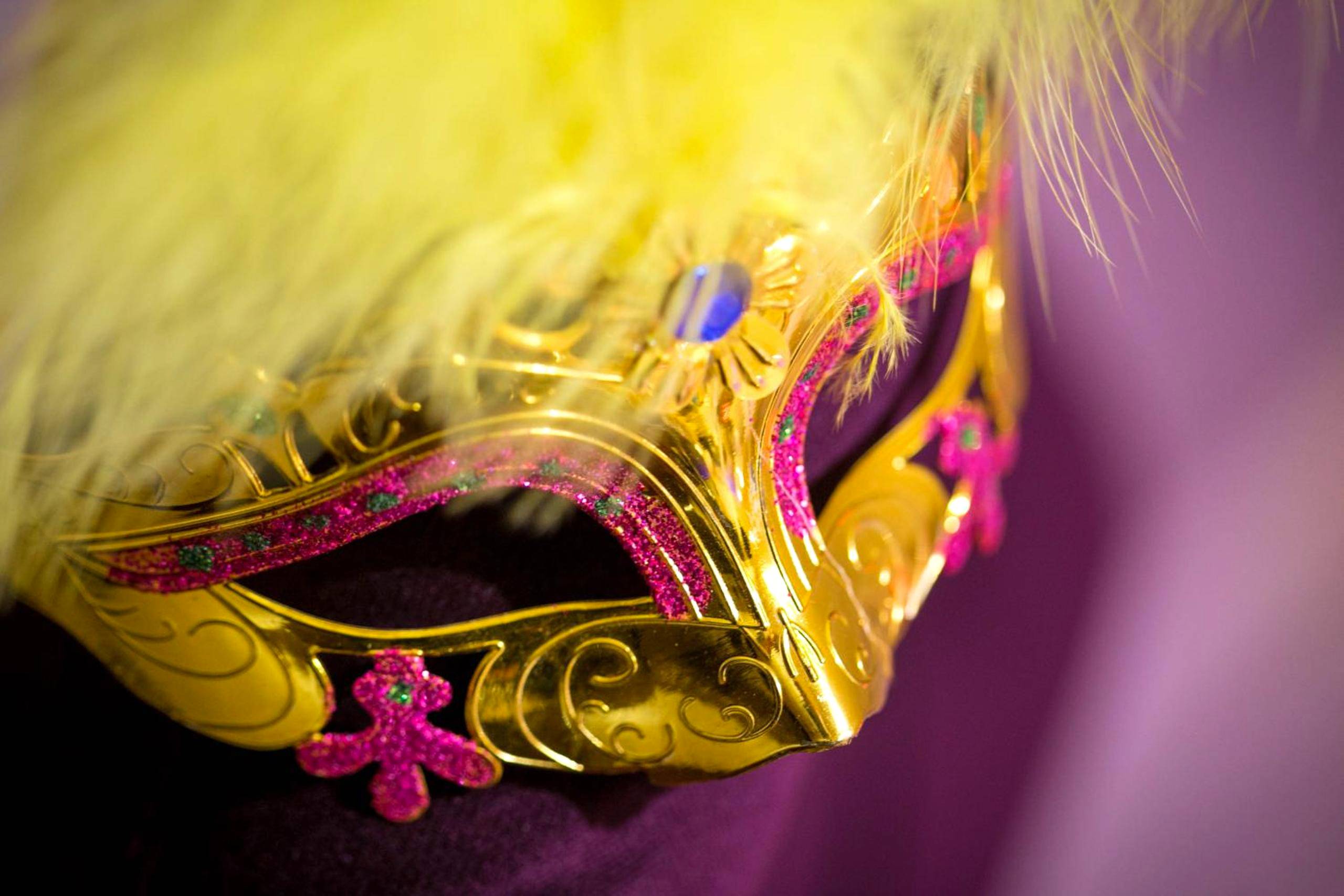 Photo du logement - Suite Romantique & Spa - Dijon