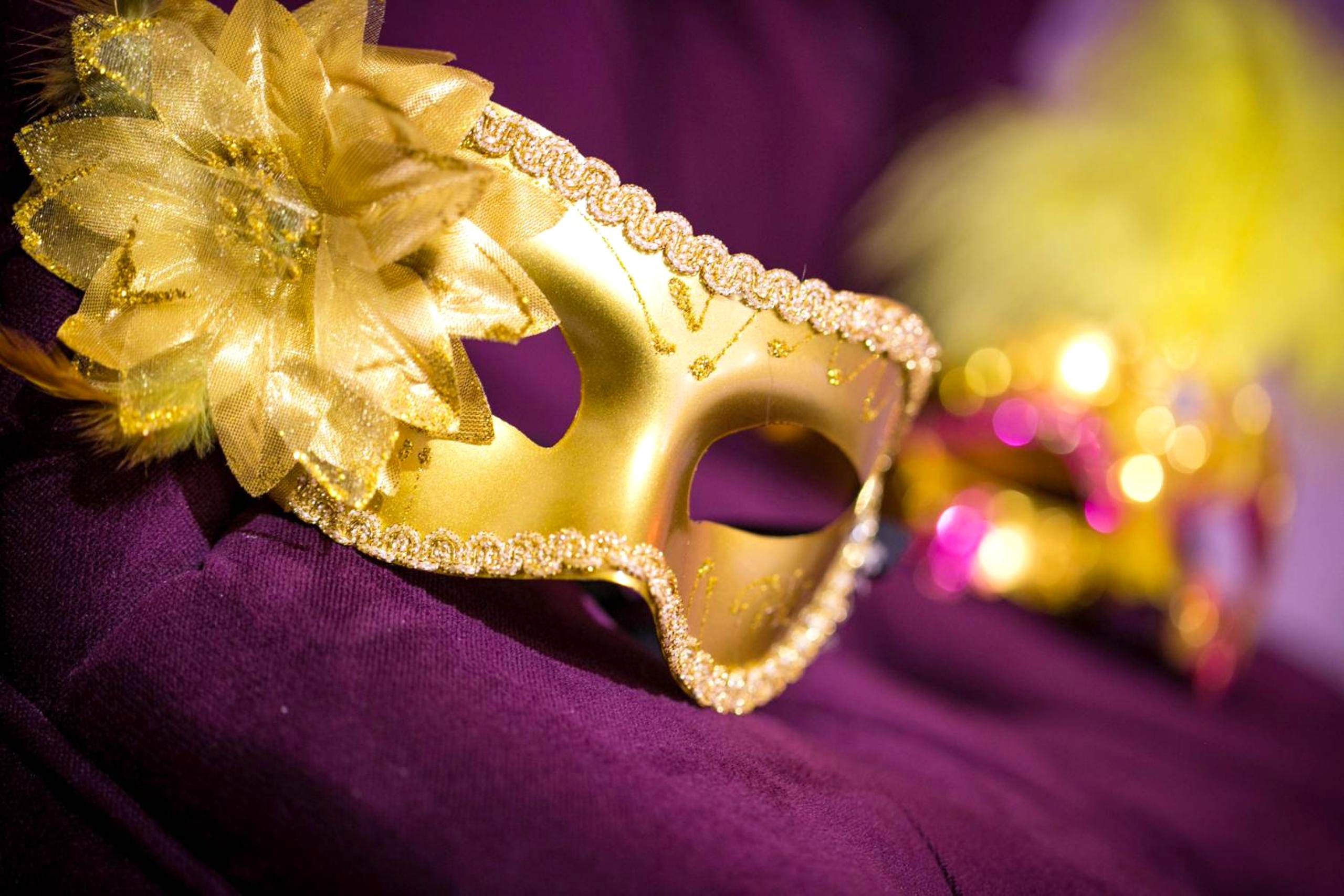 Photo du logement - Suite Romantique & Spa