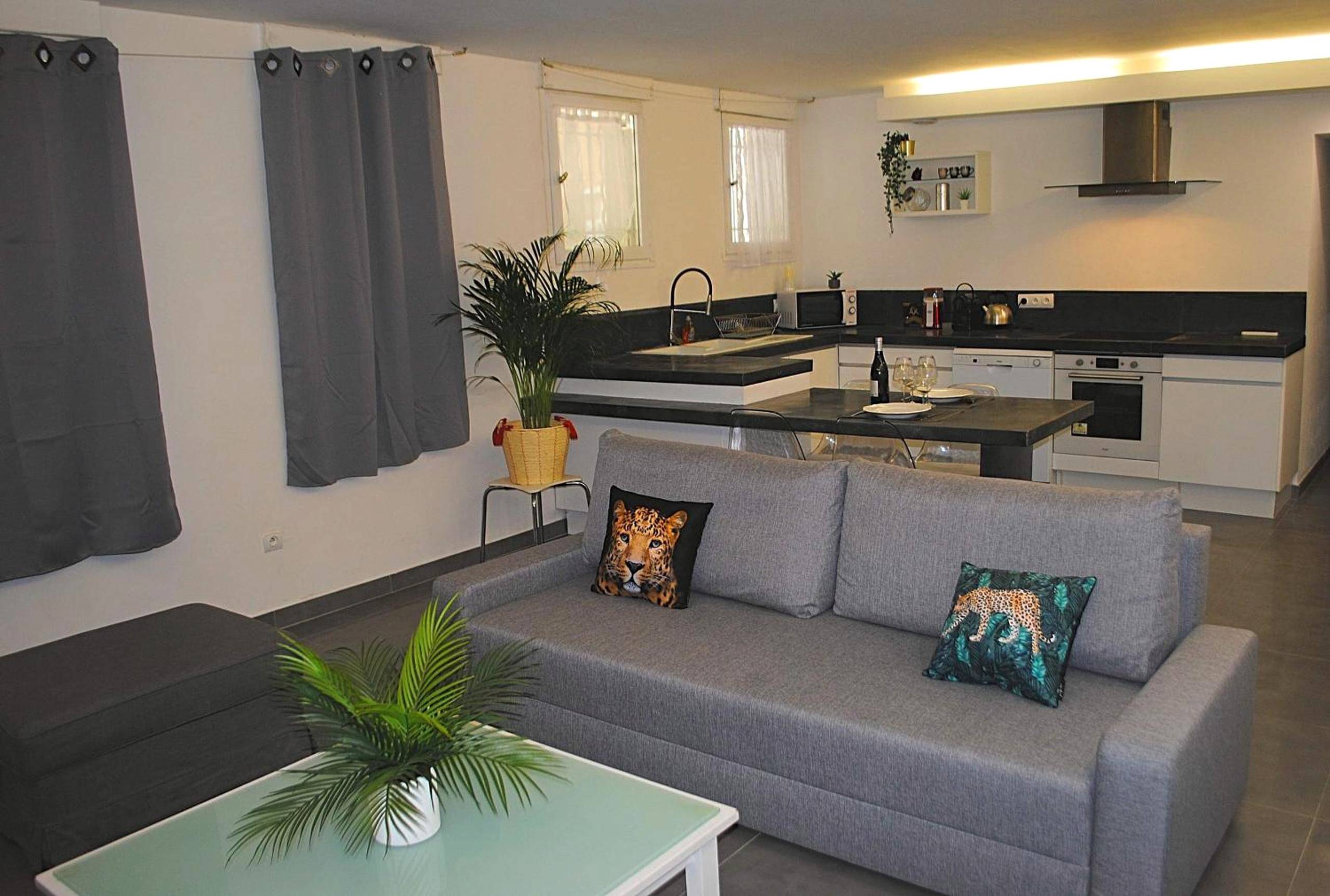 Salon avec canapé gris et cuisine équipée - Suite & SPA