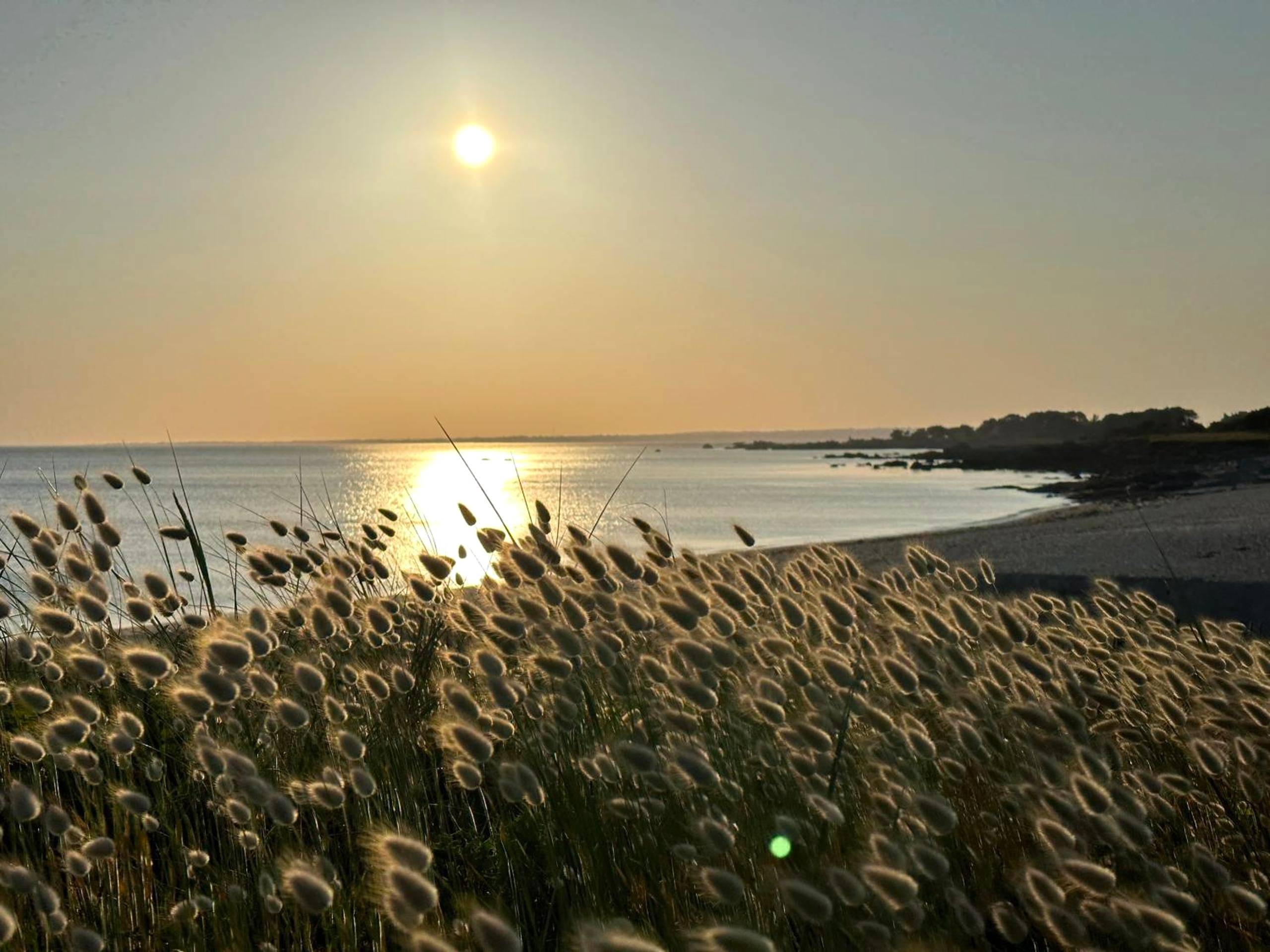 Photo du logement - Les Suites de Bougainville - Concarneau