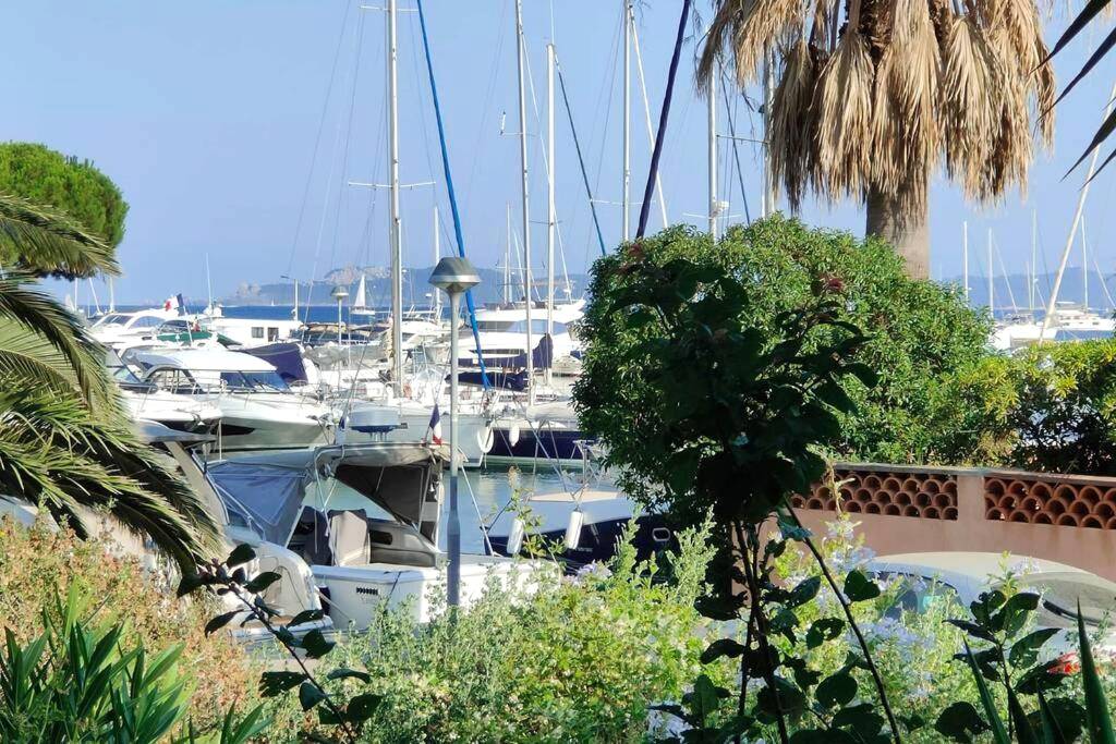 Photo du logement - Suites JM - Le temps d'une Escale (Jacuzzi & Vue Mer)