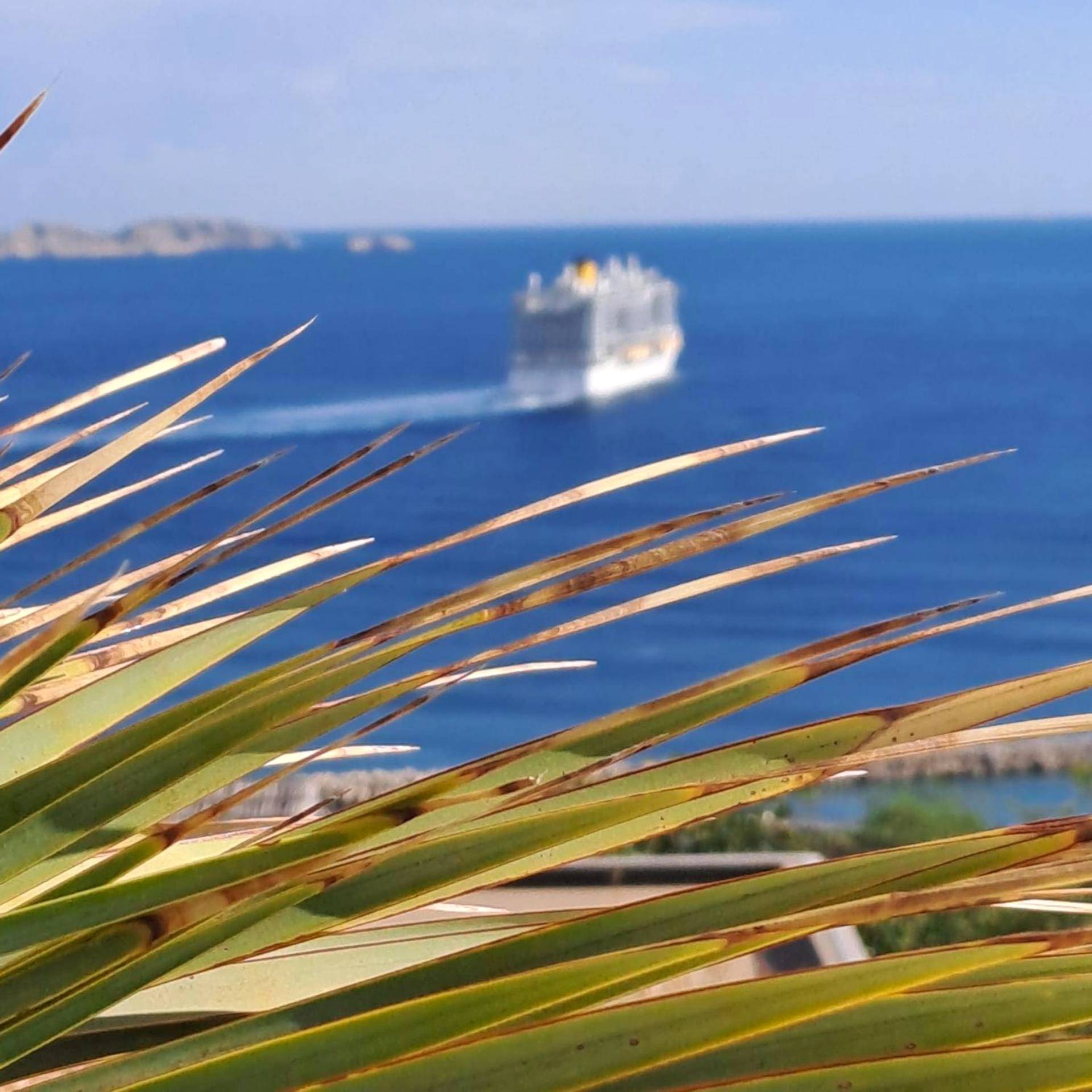 Vue sur mer avec bateau de croisière au loin - LES SUITES LOVE 1 SPA VUE MER PISCINe