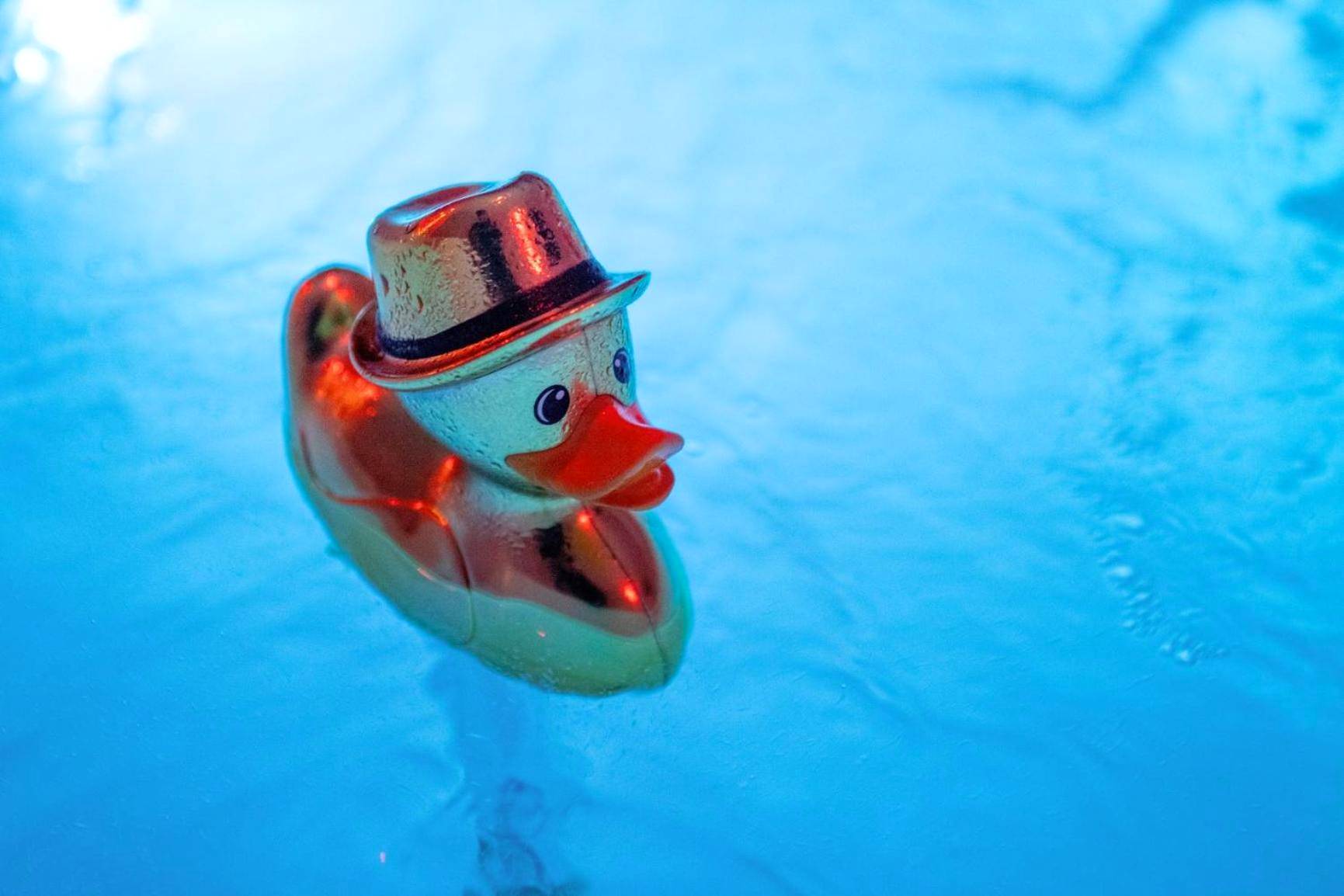 Photo du logement - LES SUITES LOVE 1 SPA VUE MER PISCINe