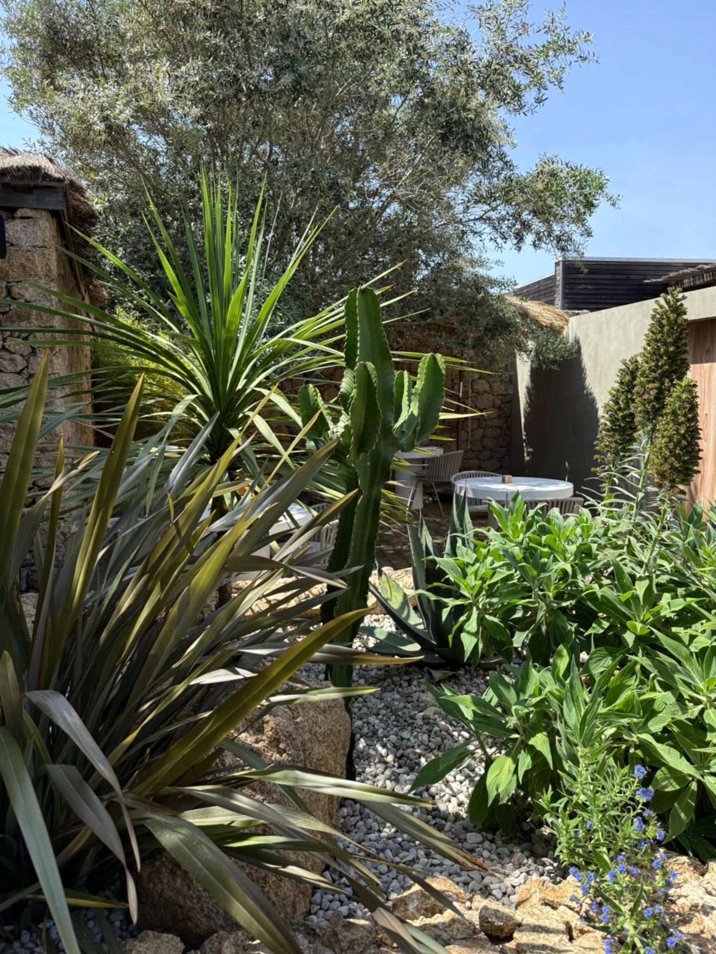 Photo du logement - Hôtel Les Suites Du Maquis