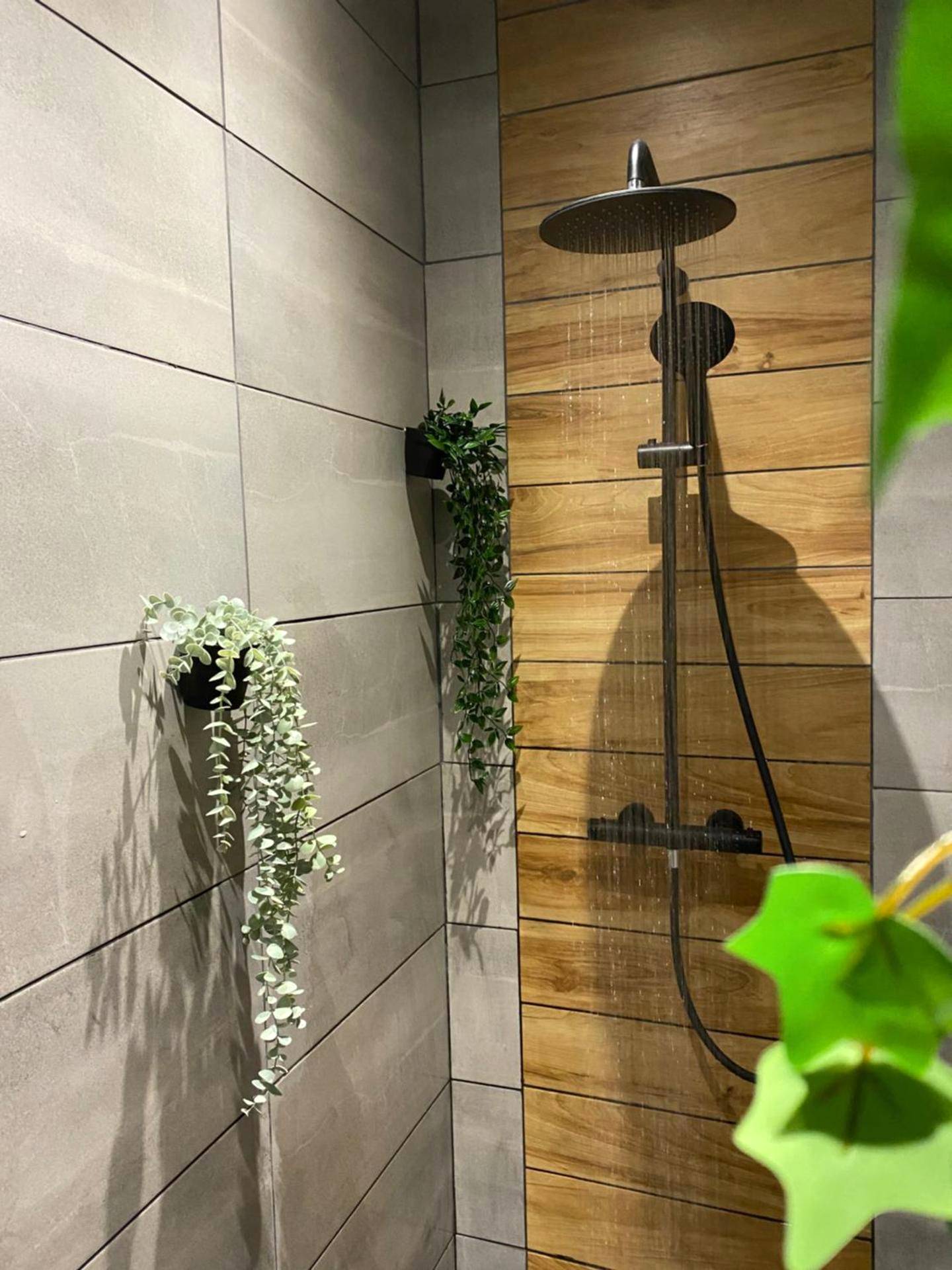 Vue du logement - Sweet love exotique by Locations_lepuyenvelay