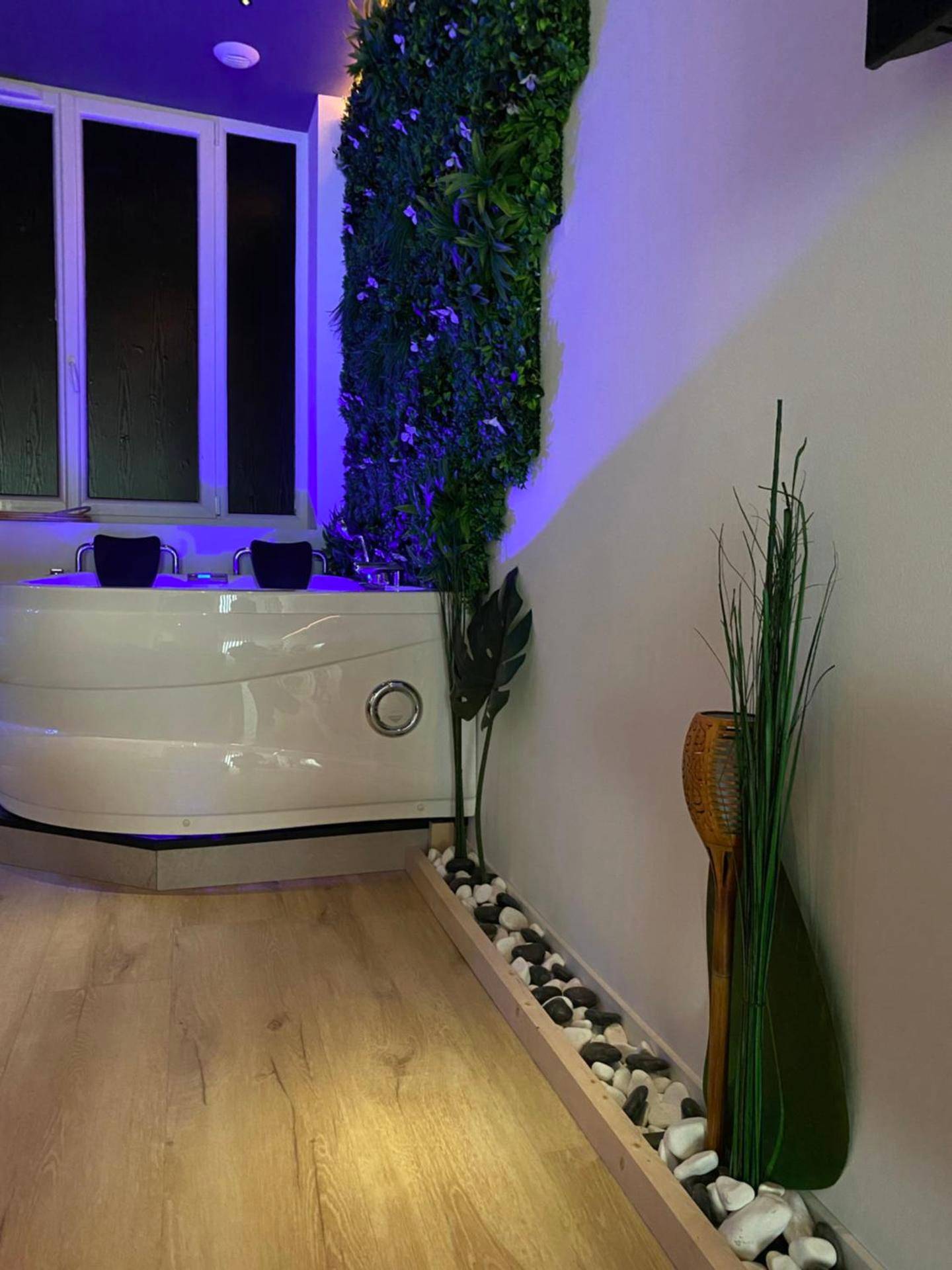 Photo du logement - Sweet love exotique by Locations_lepuyenvelay