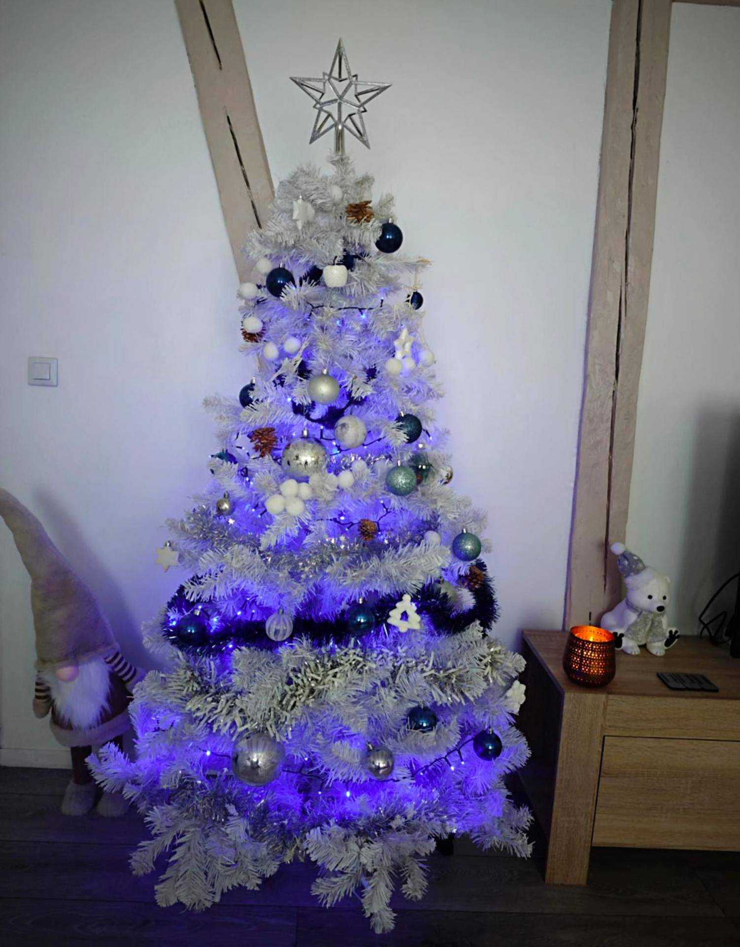 Photo du logement - Sweet Home - Erstein