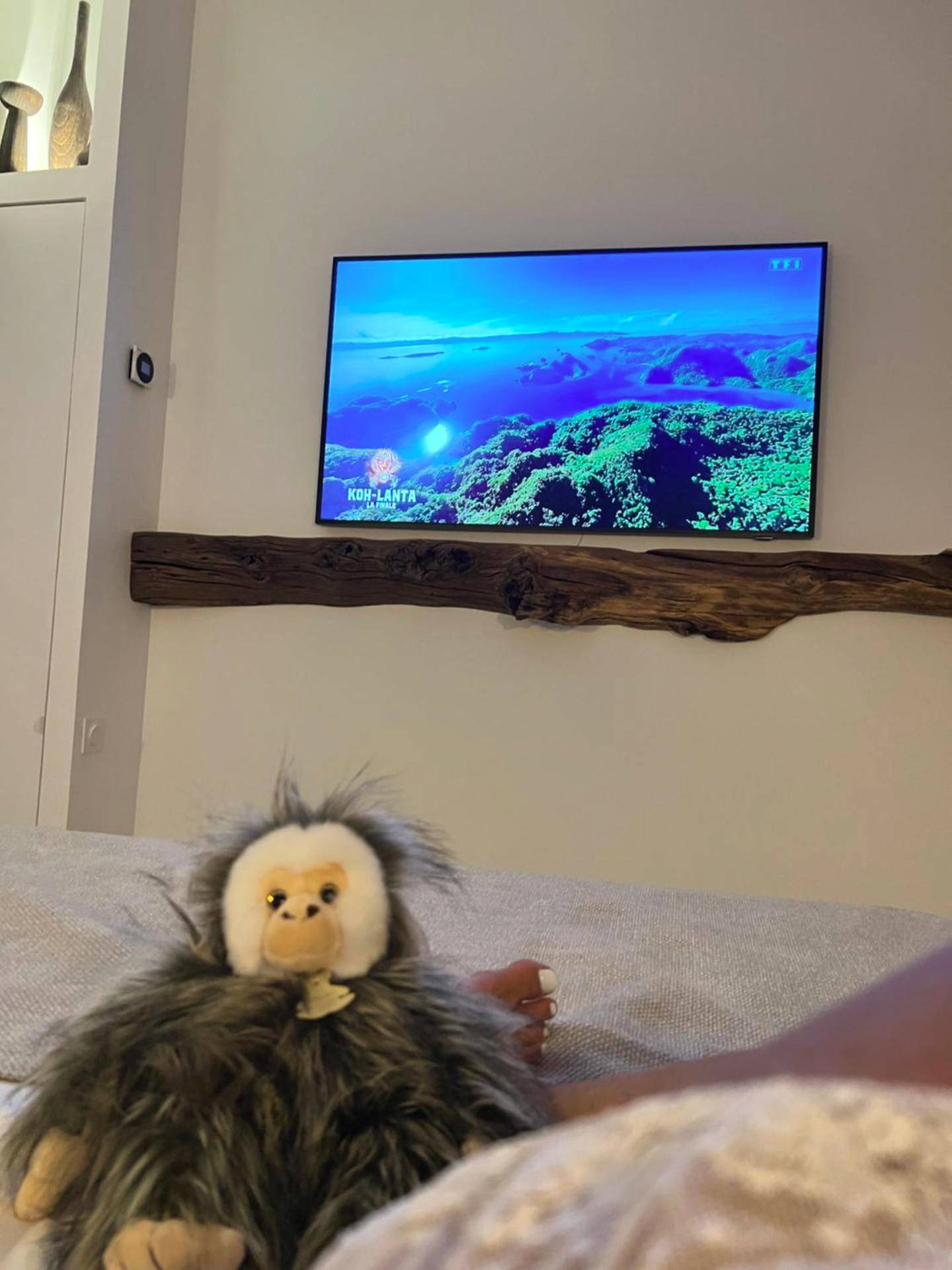 Photo du logement - Tamarin & Capucin Suite Balnéo - Aubagne