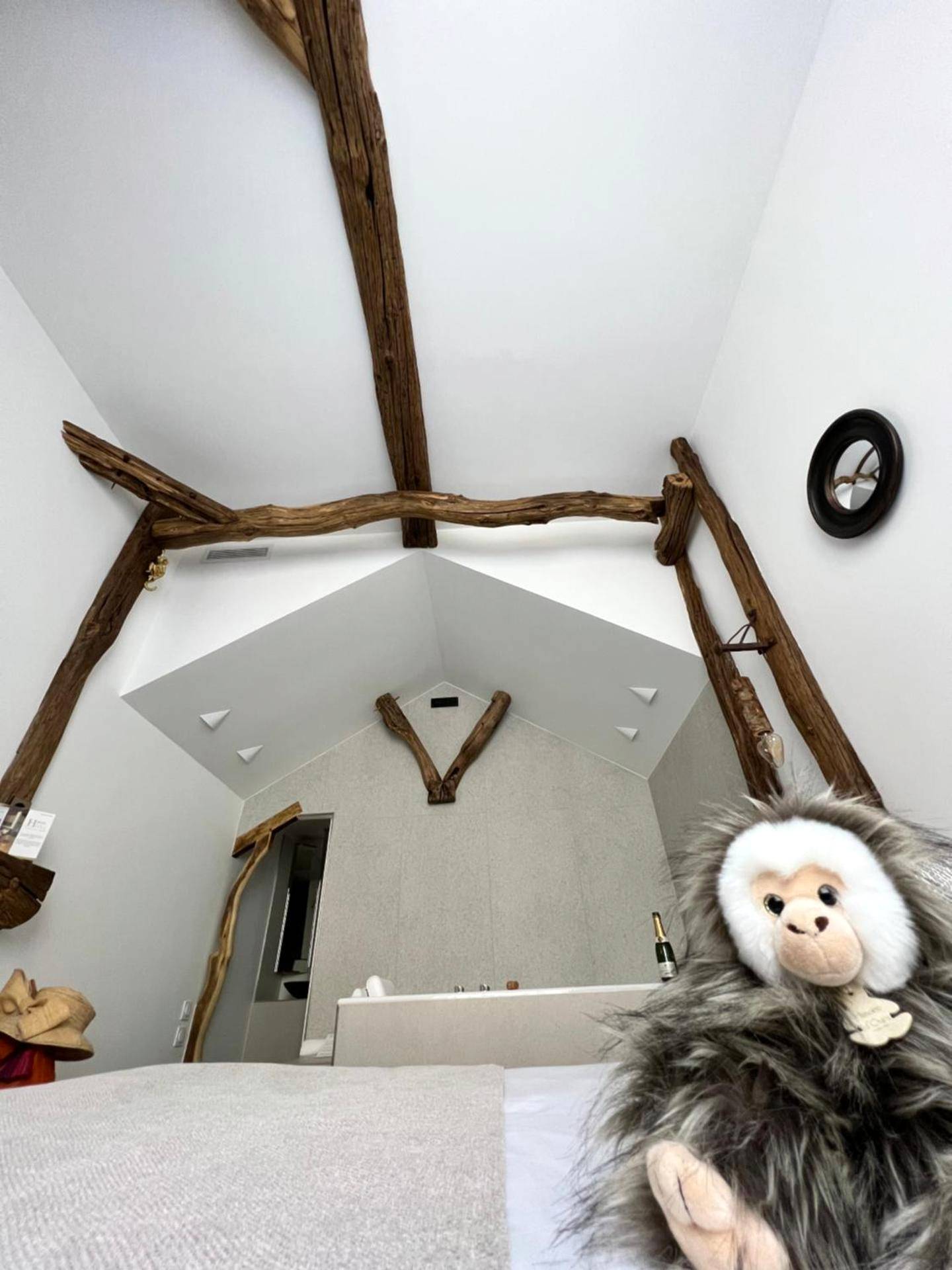 Photo du logement - Tamarin & Capucin Suite Balnéo