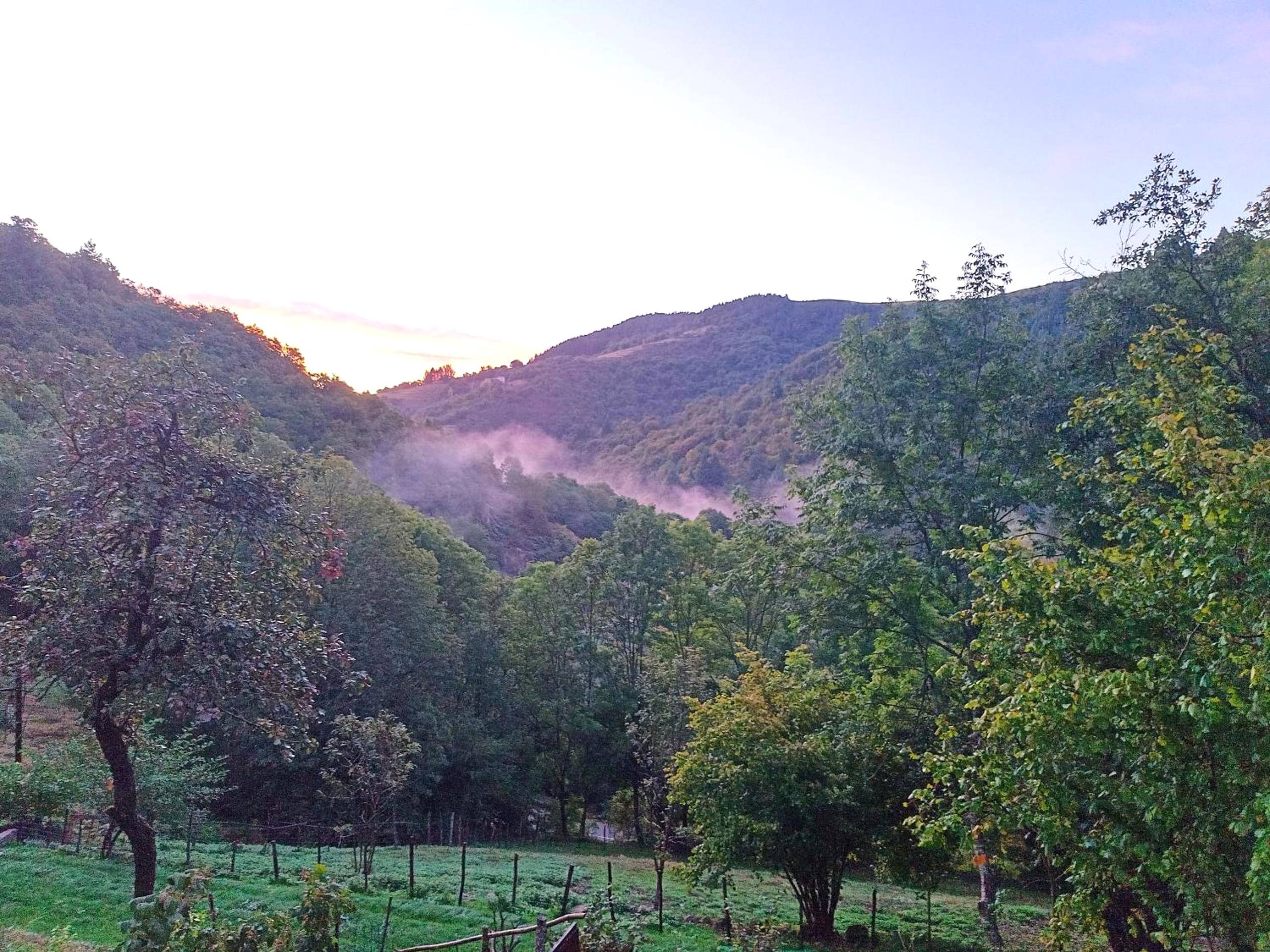 Vue panoramique sur les montagnes boisées - Le Temps Suspendu