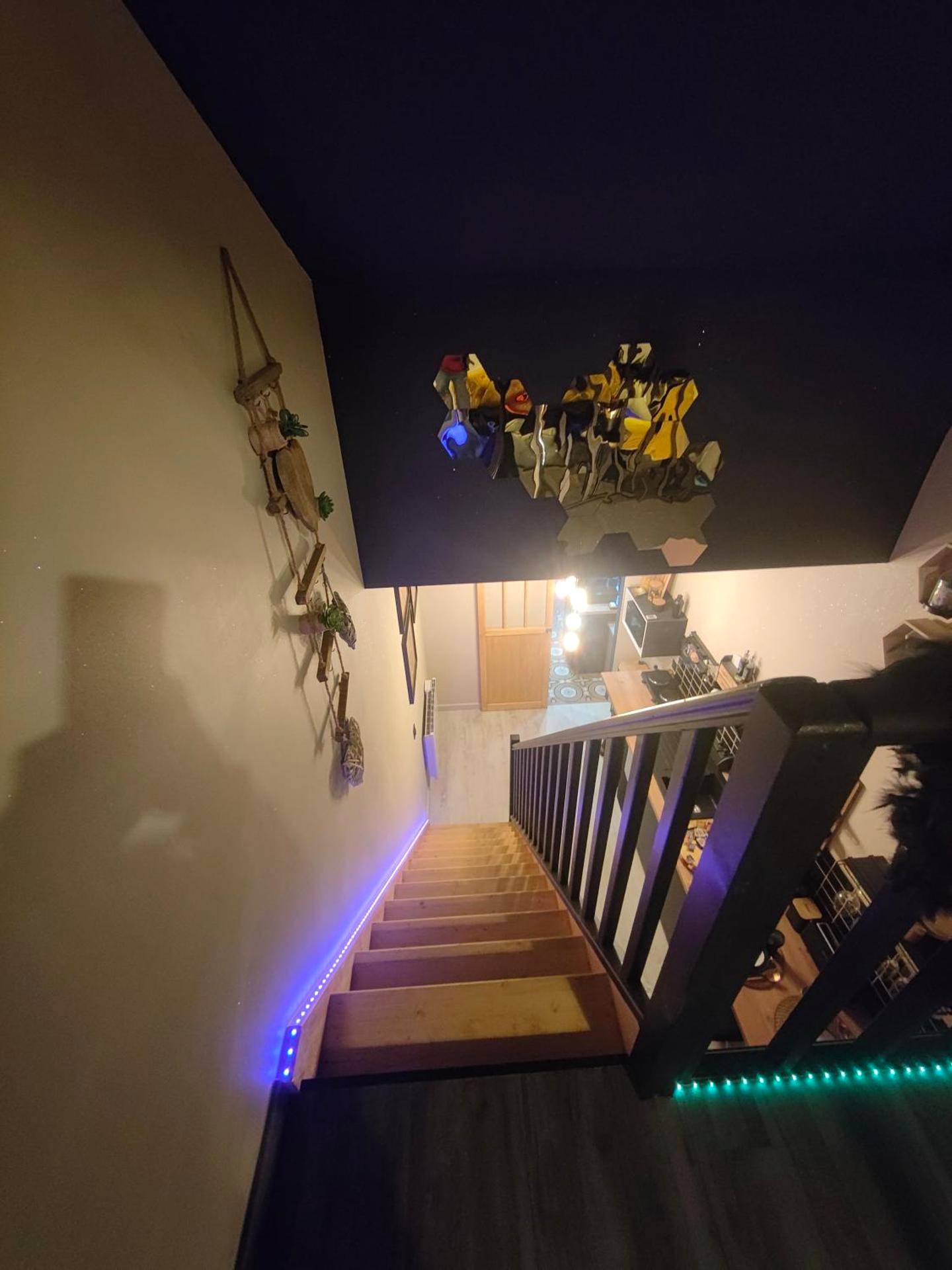 Photo du logement - La tentation - Berck