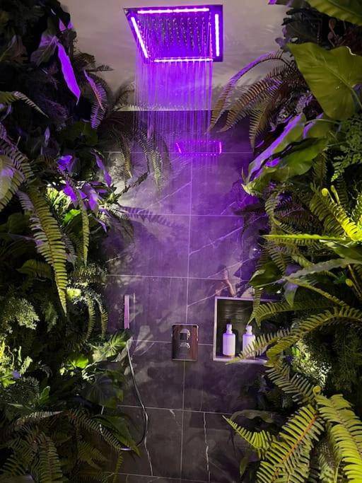 Photo du logement - Loving room cocooning avec jacuzzi « la terre » - Jujurieux