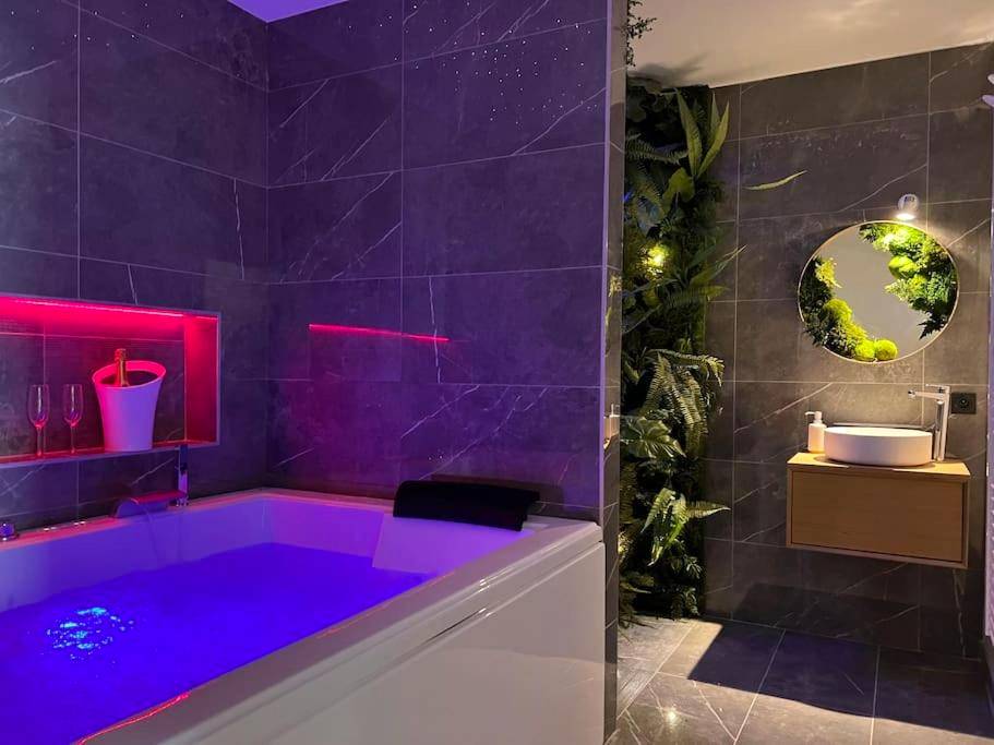 Photo du logement - Loving room cocooning avec jacuzzi « la terre »
