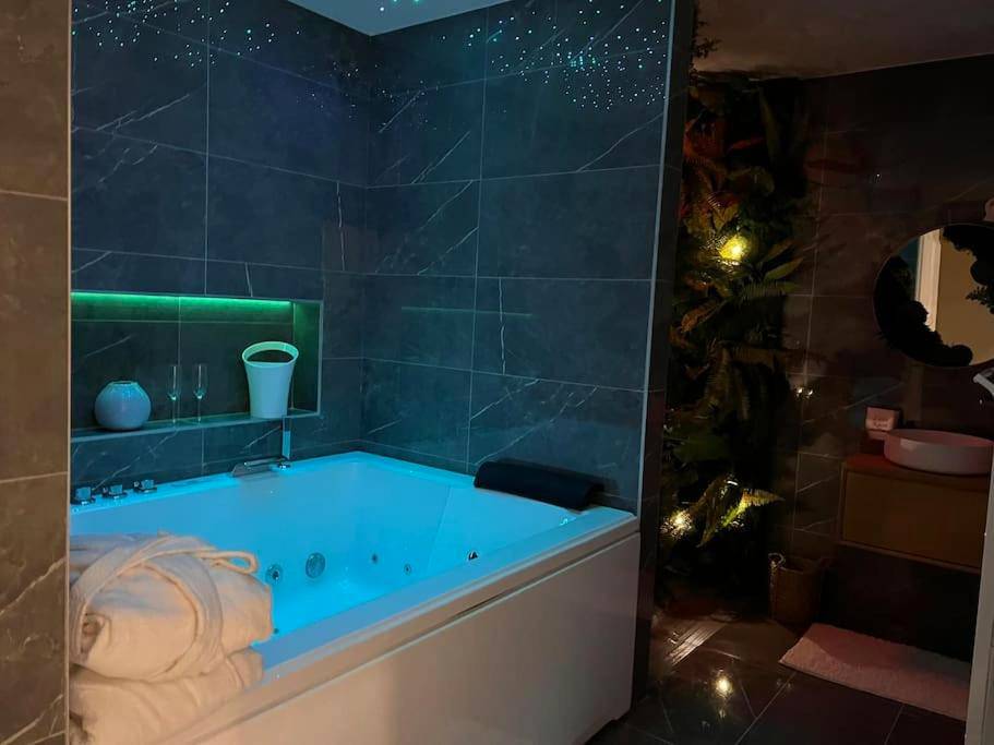 Photo du logement - Loving room cocooning avec jacuzzi « la terre »