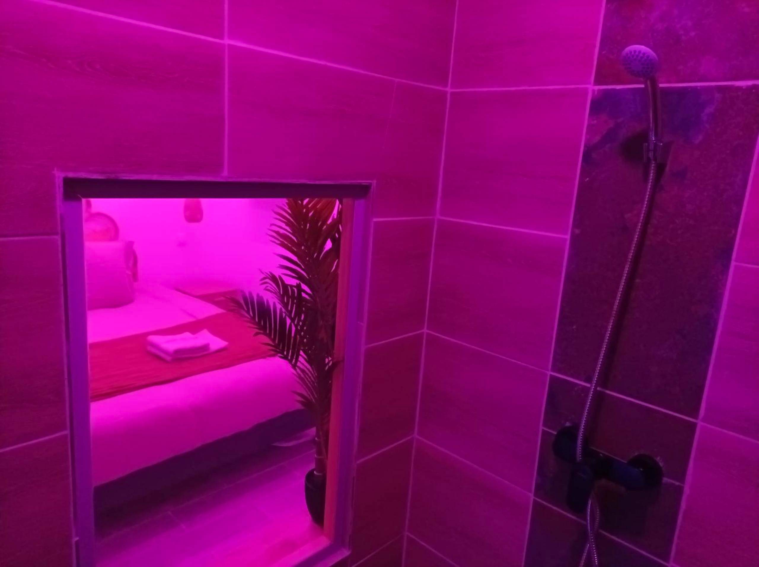 Photo du logement - Ti Gernevez - L'Evasion