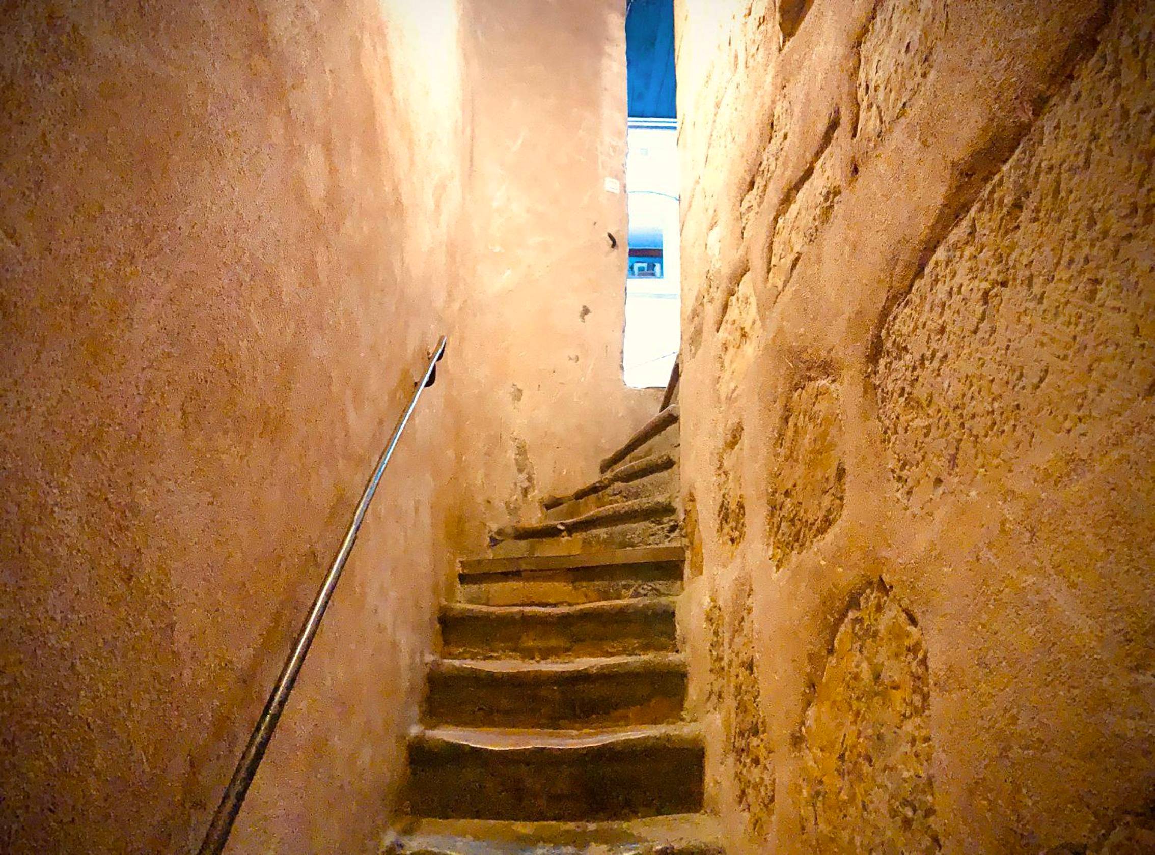 Photo du logement - Tropical Jacuzzi Oasis - Terreaux