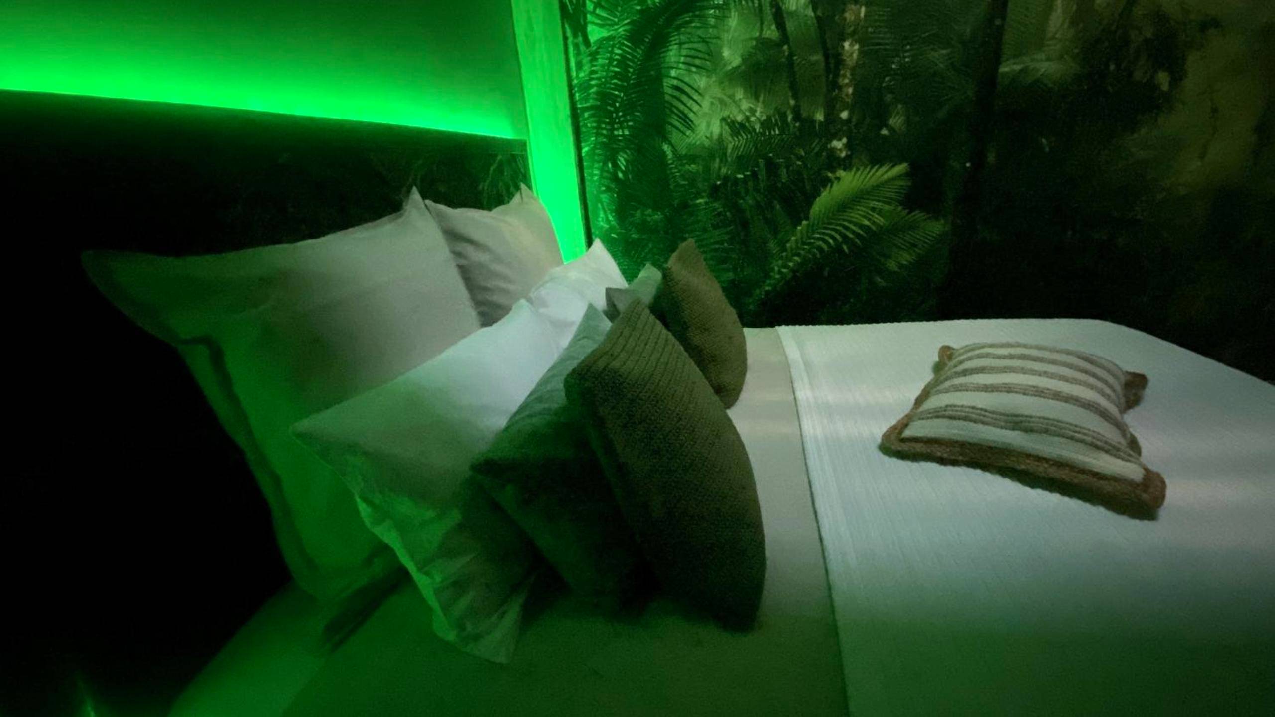 Photo du logement - Tropical Lodge SPA Narbonne