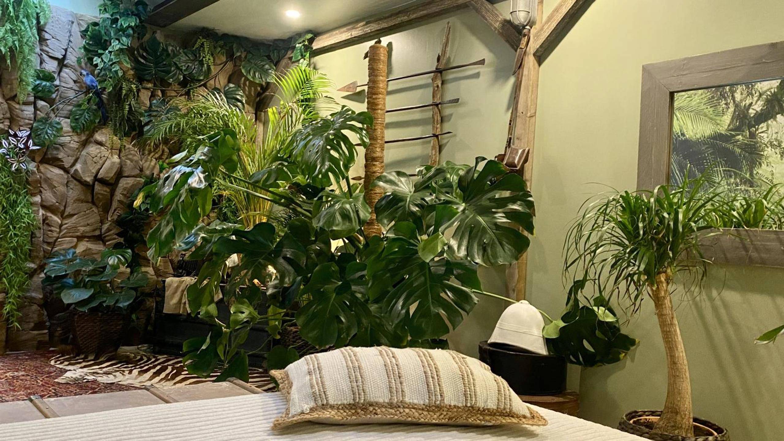 Photo du logement - Tropical Lodge SPA Narbonne