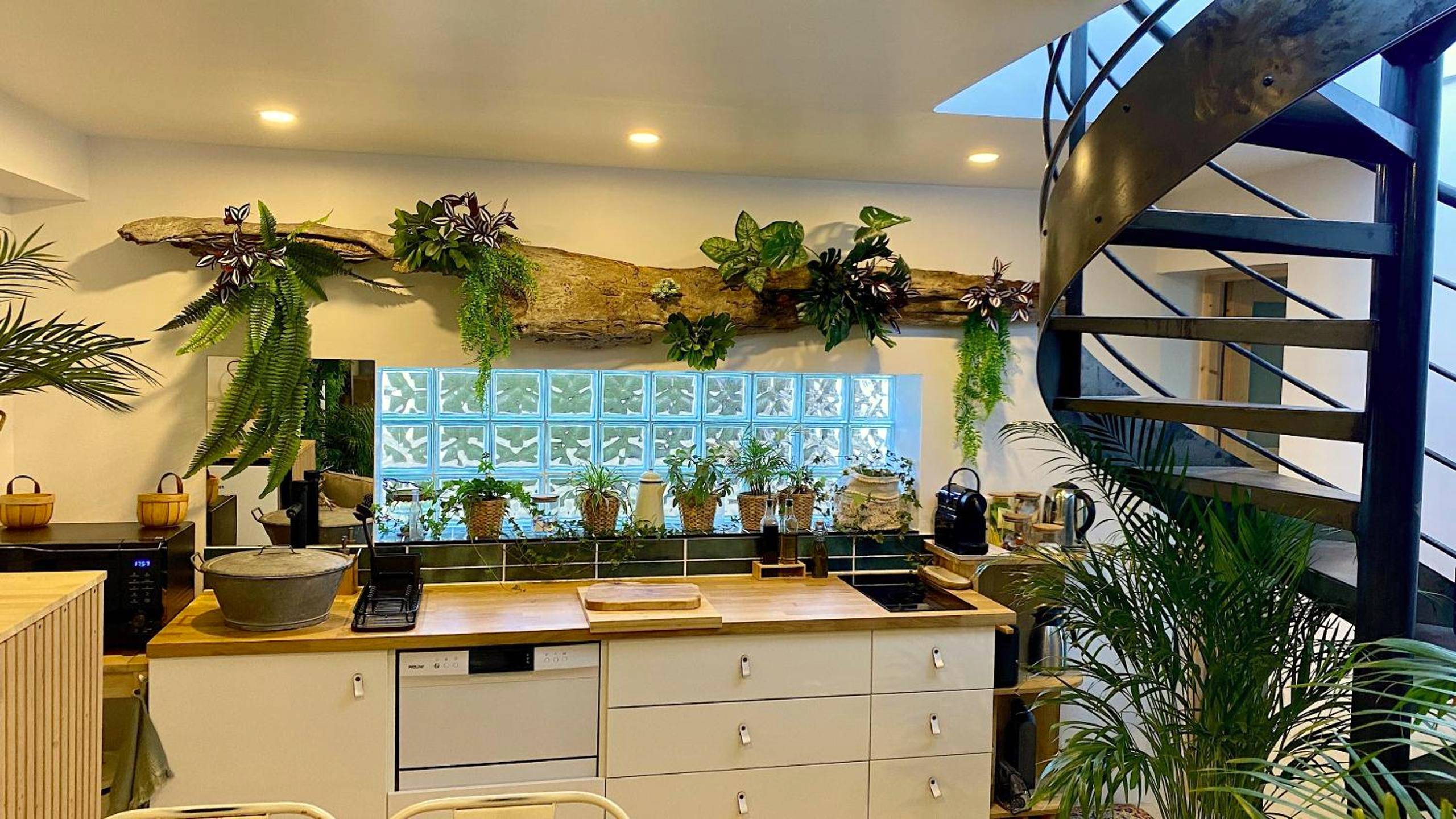Photo du logement - Tropical Lodge SPA Narbonne - Narbonne