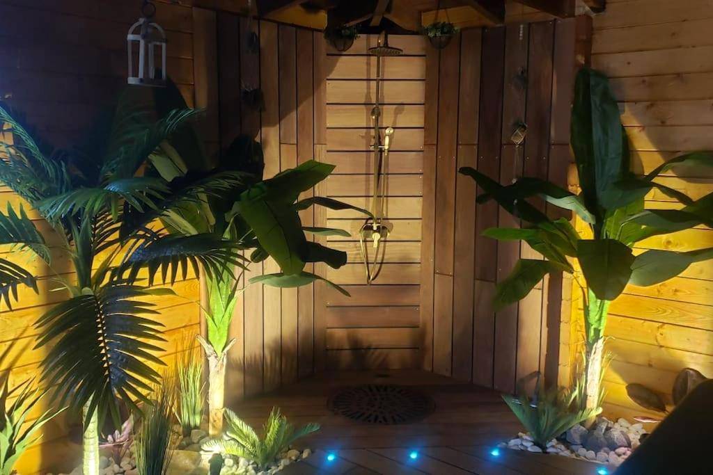 Photo du logement - Tropical Spa