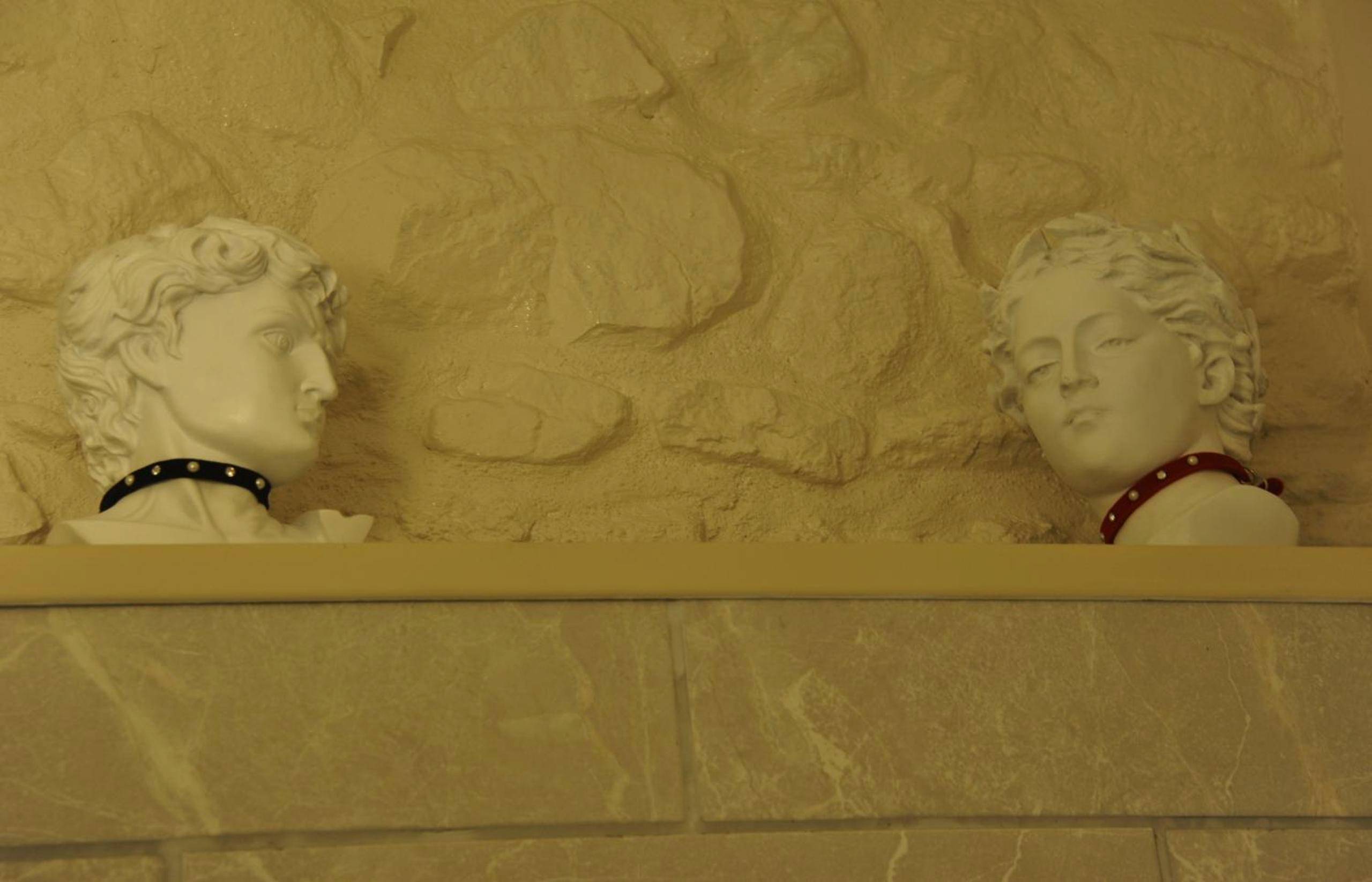 Photo du logement - L'Un Des Sens - Clermont - Ferrand