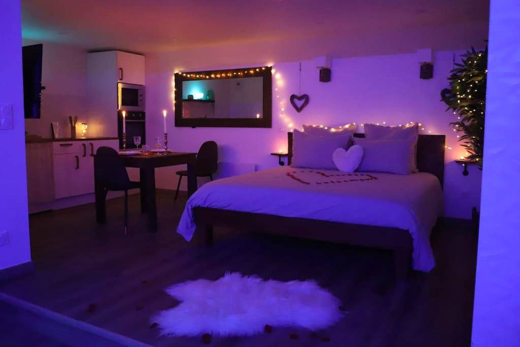 Photo du logement - Love room Unique - Sauna / Jacuzzi