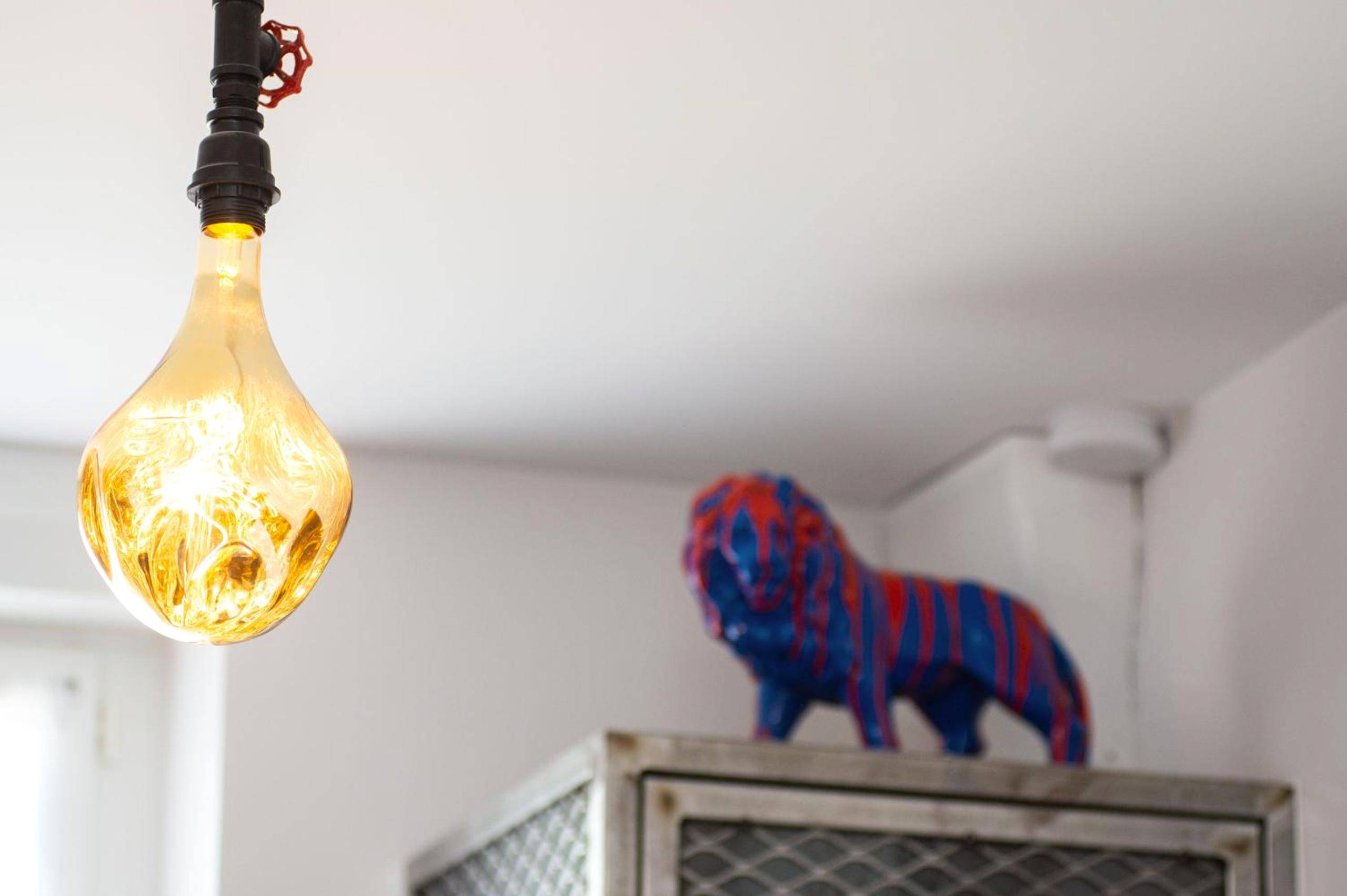 Photo du logement - URBAN JUNGLE SPA