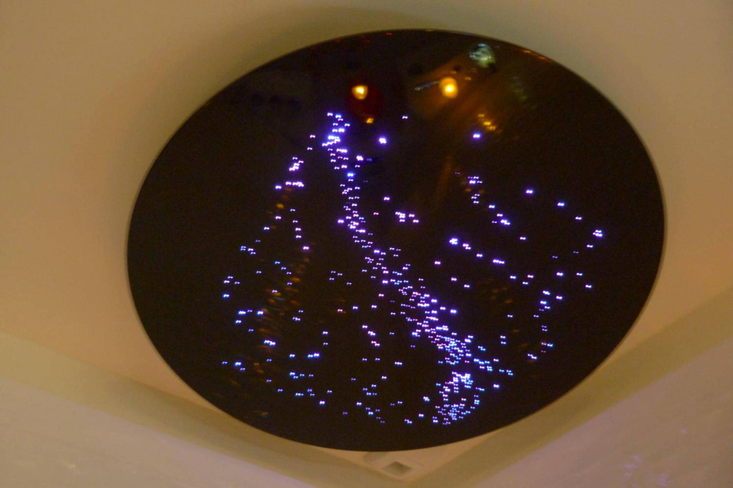 Photo du logement - URBAN JUNGLE SPA