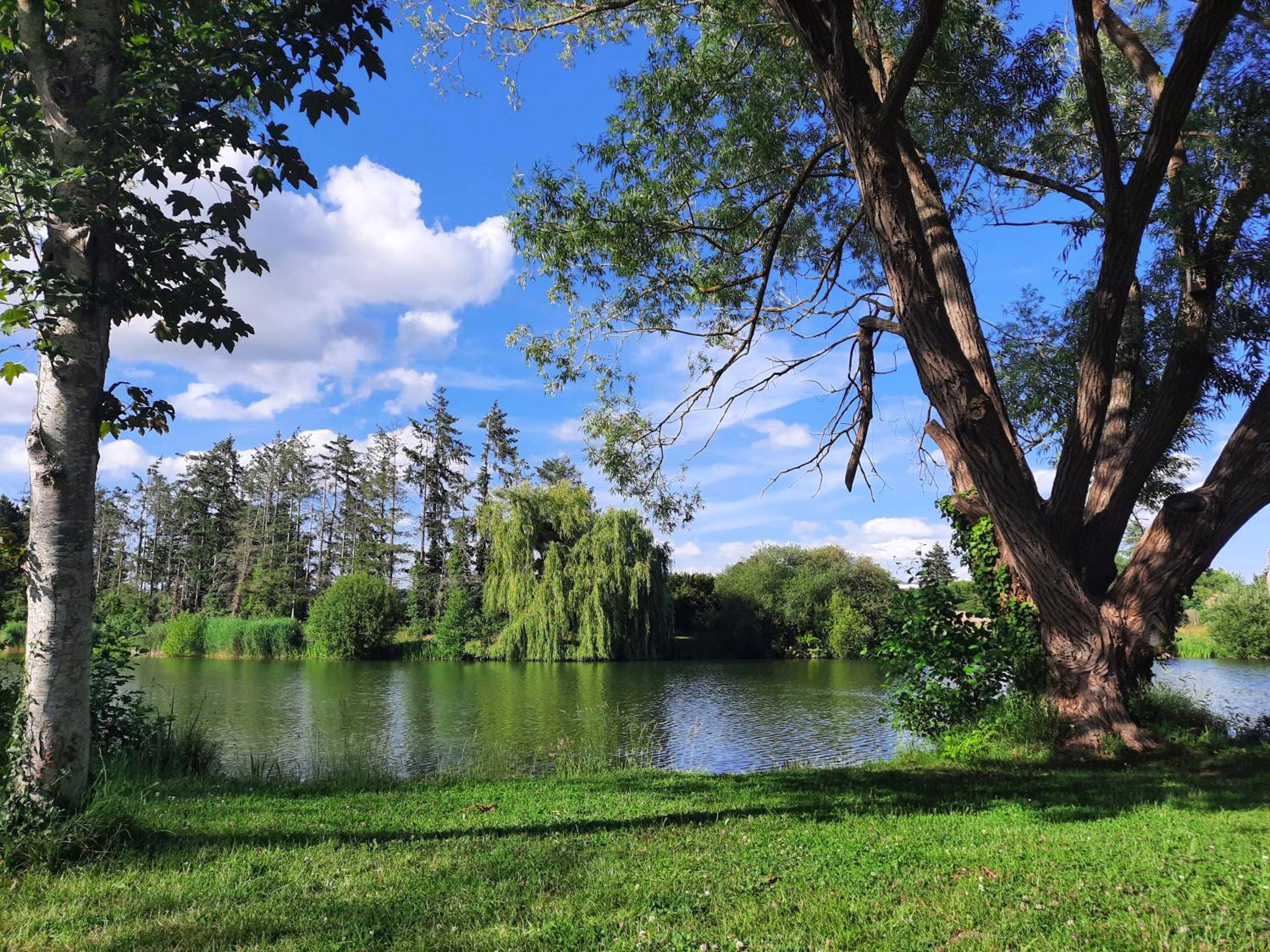 Photo du logement - Vanadis, Suites d'exceptions & spa - LE BALNEO