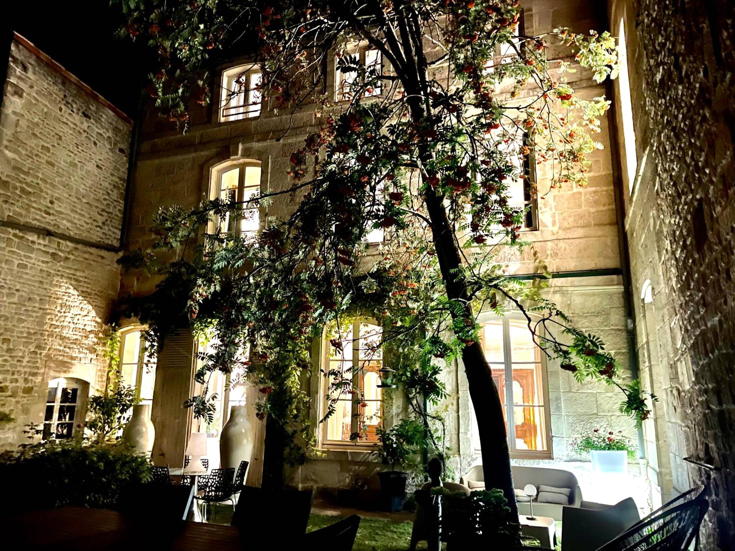 Photo du logement - Vieille rose - Niort