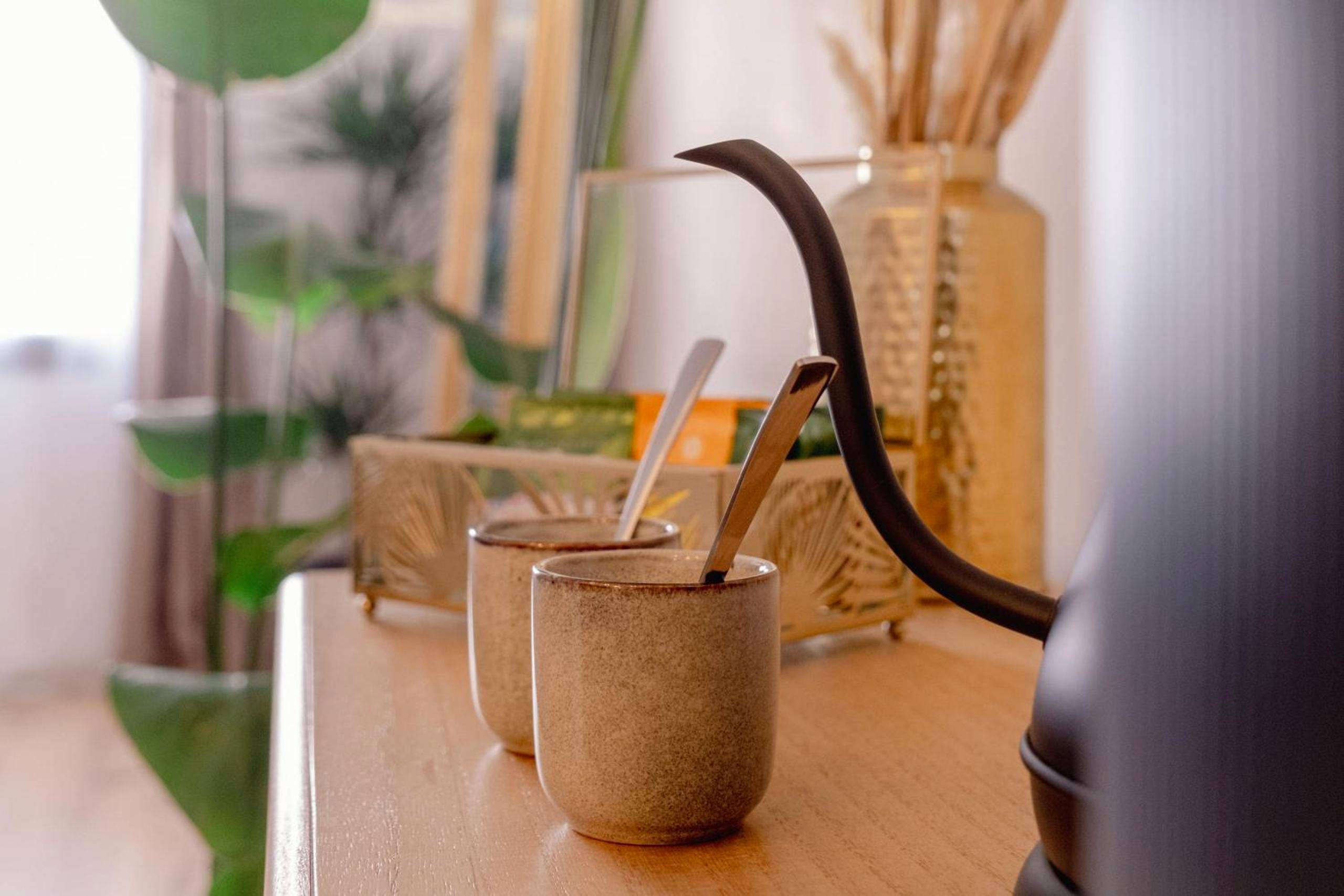 Photo du logement - Viens on s'aime - Séjour romantique avec spa privatif près du Zoo de Beauval