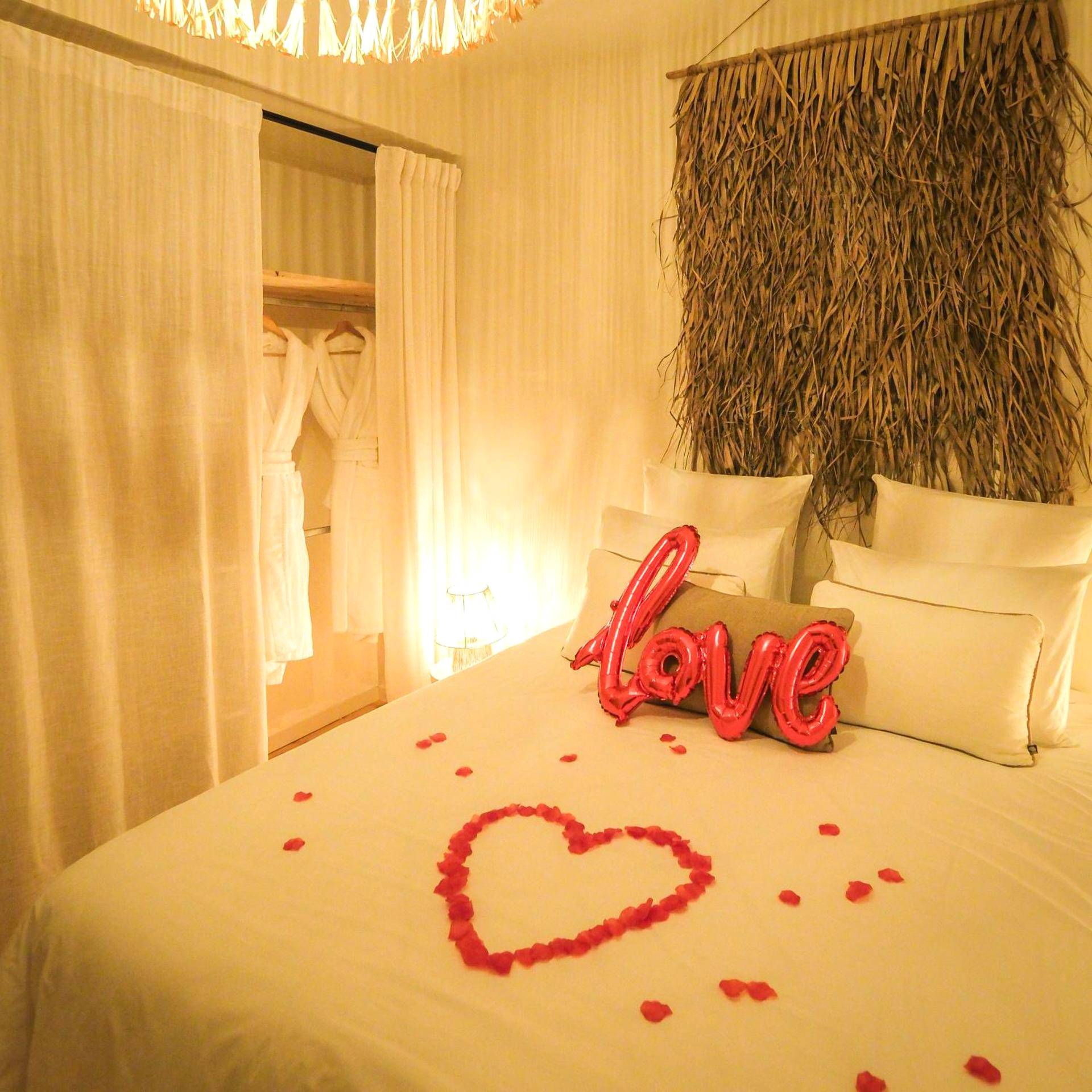 Photo du logement - La Villa Lova - Loveroom avec spa privatif à Pamiers