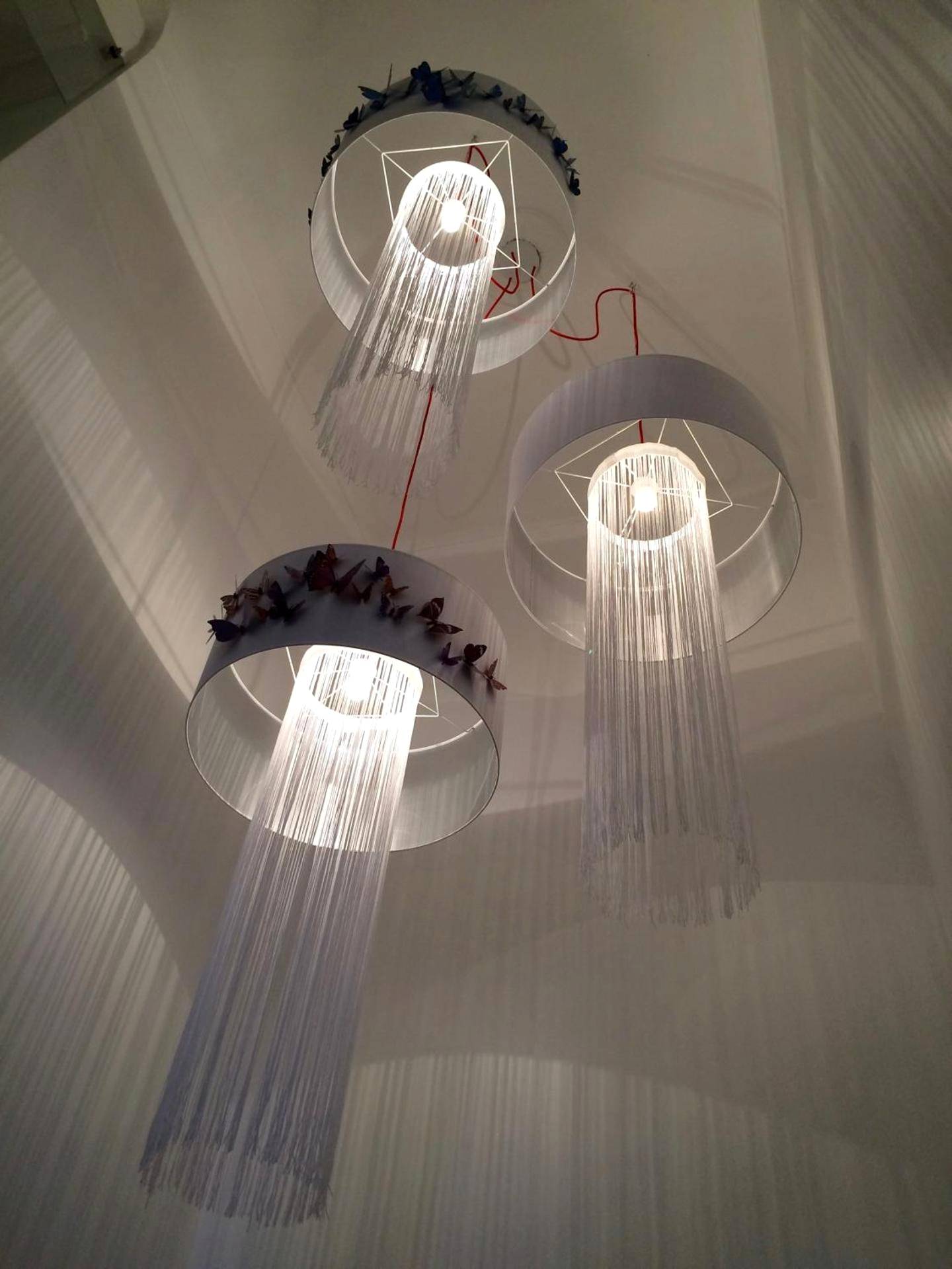 Photo du logement - Hotel Villa Rose - Nice