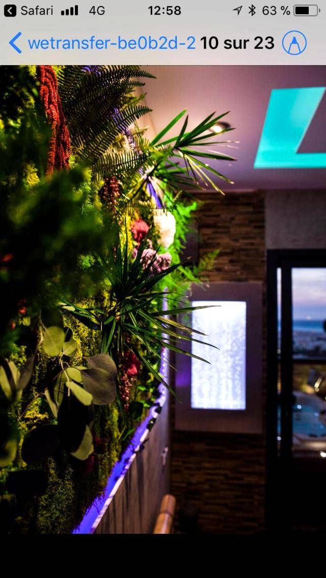 Mur végétal avec éclairage d'ambiance - B&B Villa sensorielle