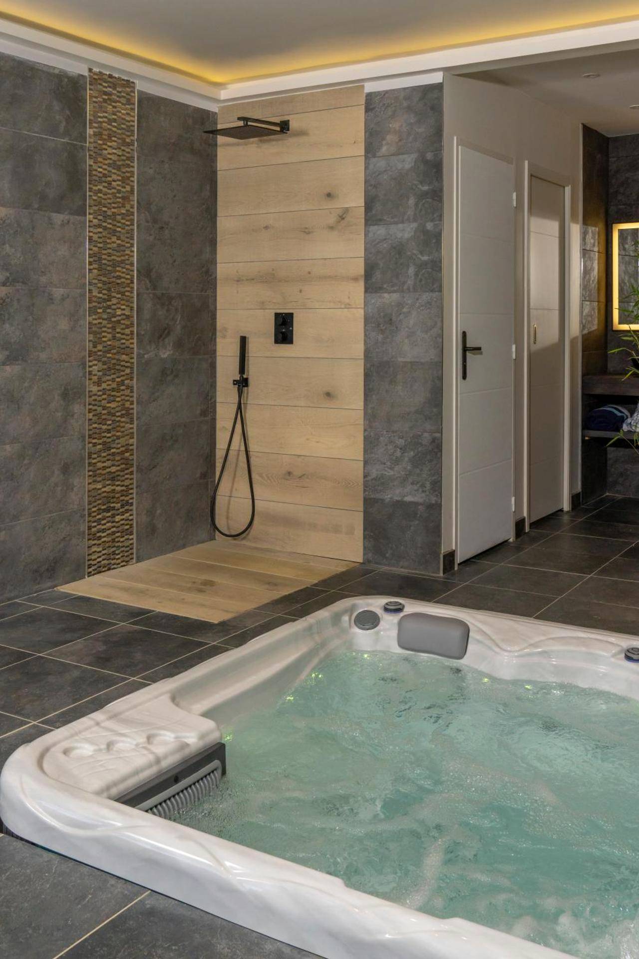 Photo du logement - Villa Seyal - avec piscine - jacuzzi - sauna & climatisation - Le Mans