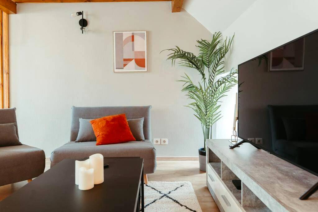 Salon avec canapé gris et télévision - La Villetta SPA - logement atypique