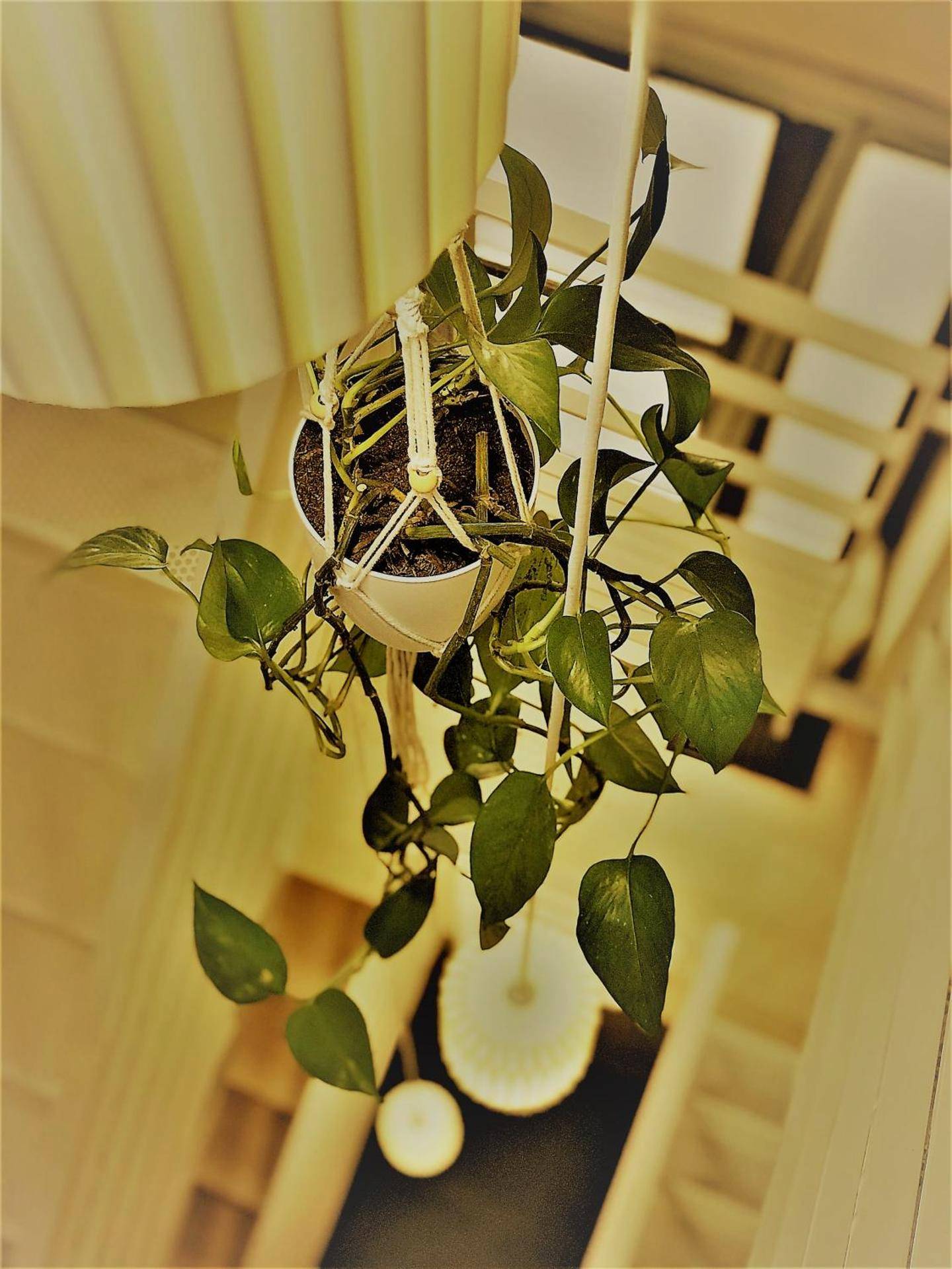 Photo du logement - Au Vingtain - Appartement & Spa atypique - Brindas