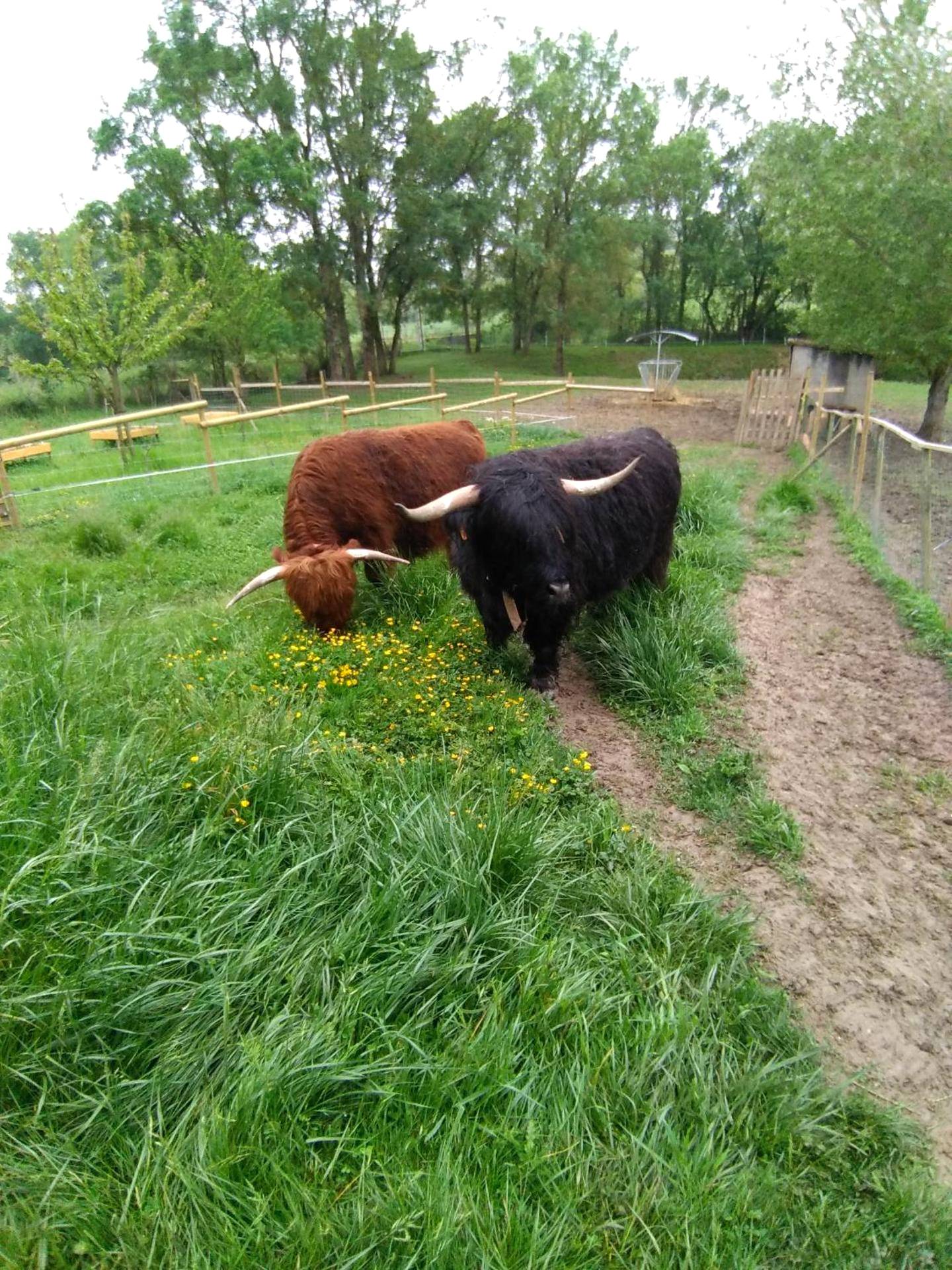 Photo du logement - Le Wigwam du Fassac