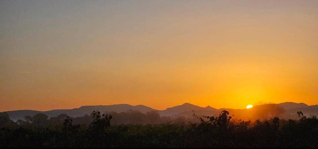 Photo du logement - Xcoquine Love Room & Spa - Tourves