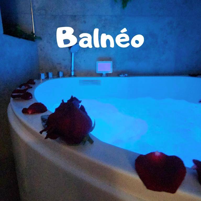 Photo du logement - Zen room - Havre de paix